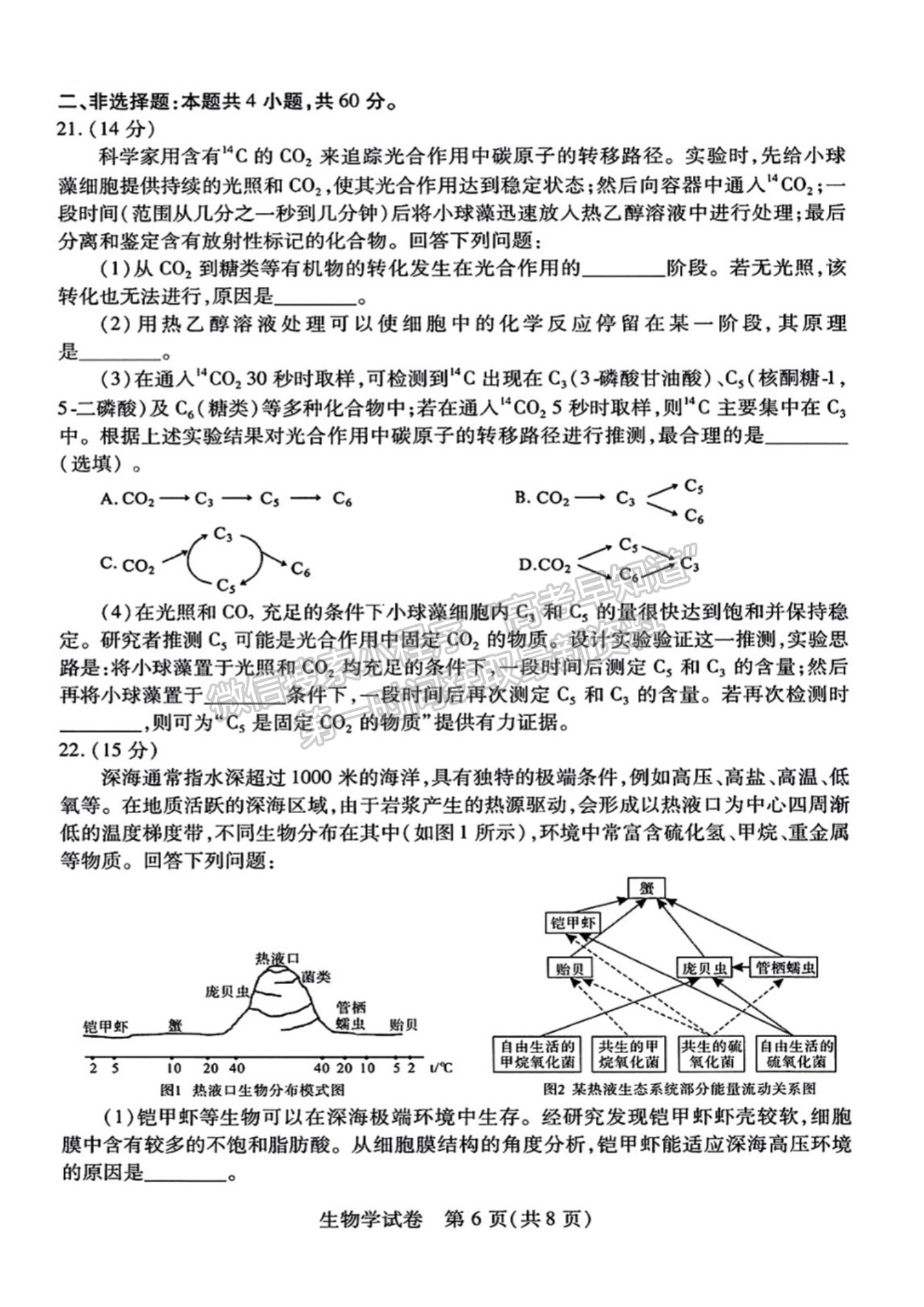 2023屆武漢市高三9月調研考試生物試卷及參考答案