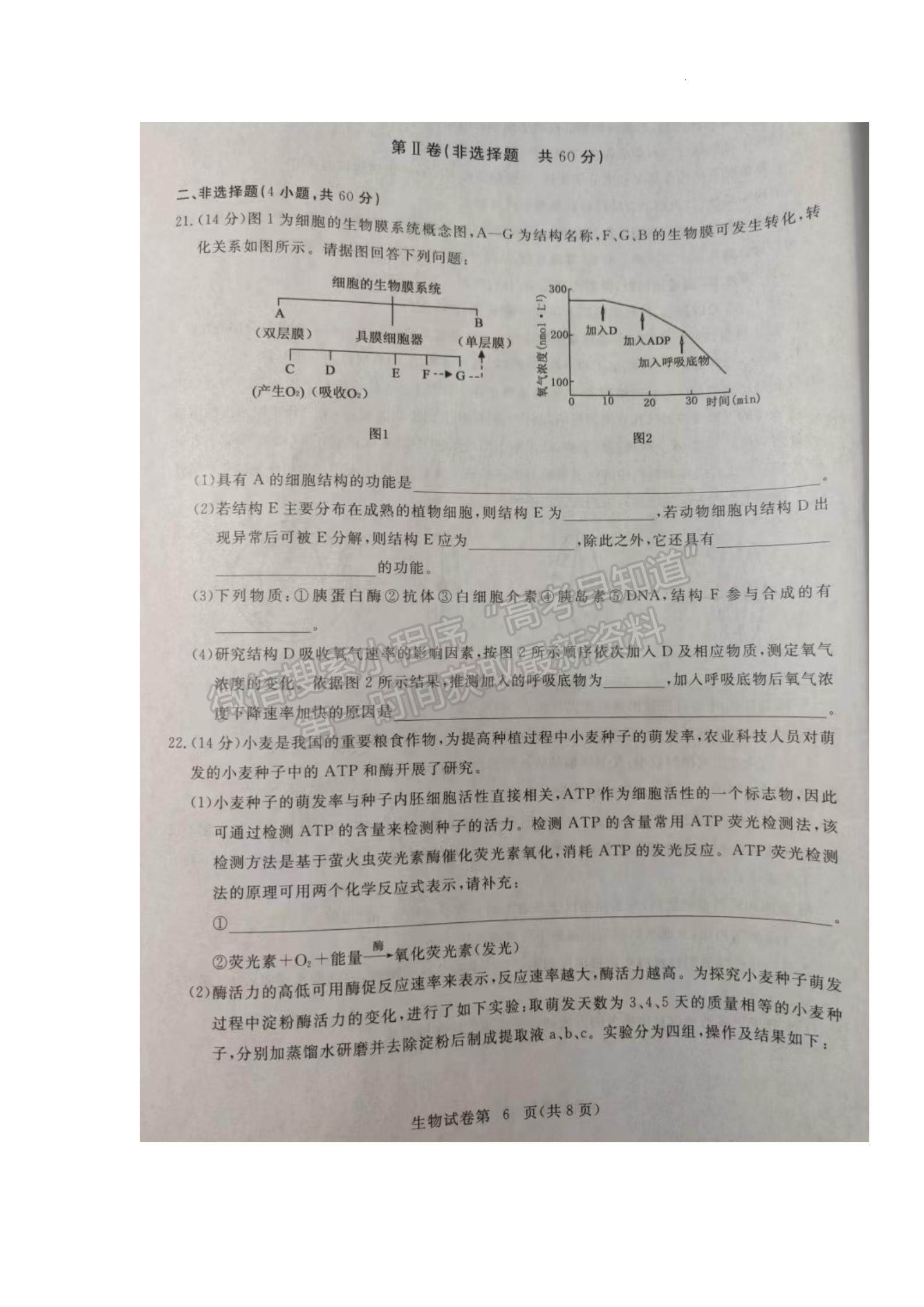 2023屆湖北黃岡市高三9月調(diào)研生物考試卷及參考答案