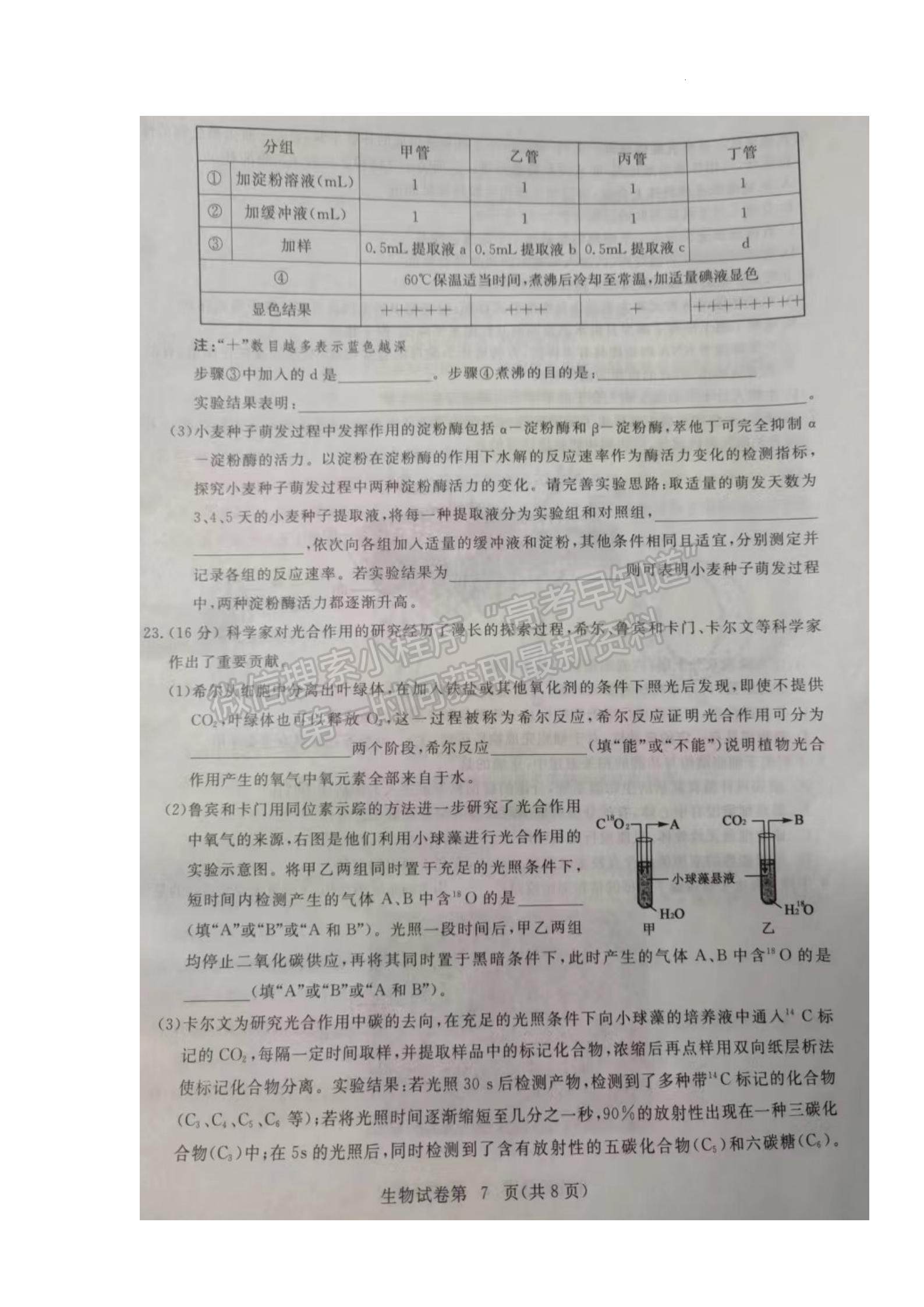 2023屆湖北黃岡市高三9月調(diào)研生物考試卷及參考答案