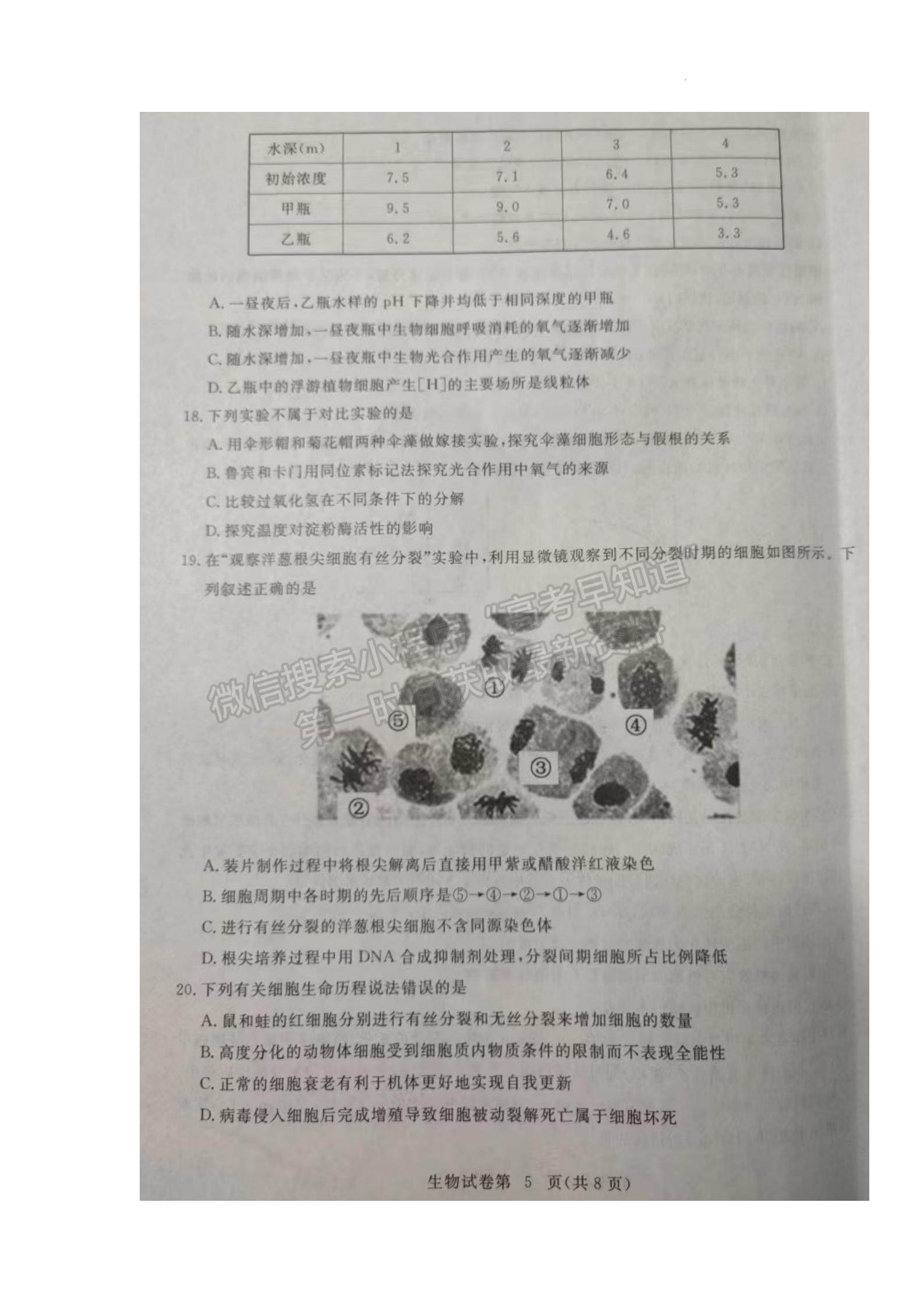 2023屆湖北黃岡市高三9月調(diào)研生物考試卷及參考答案