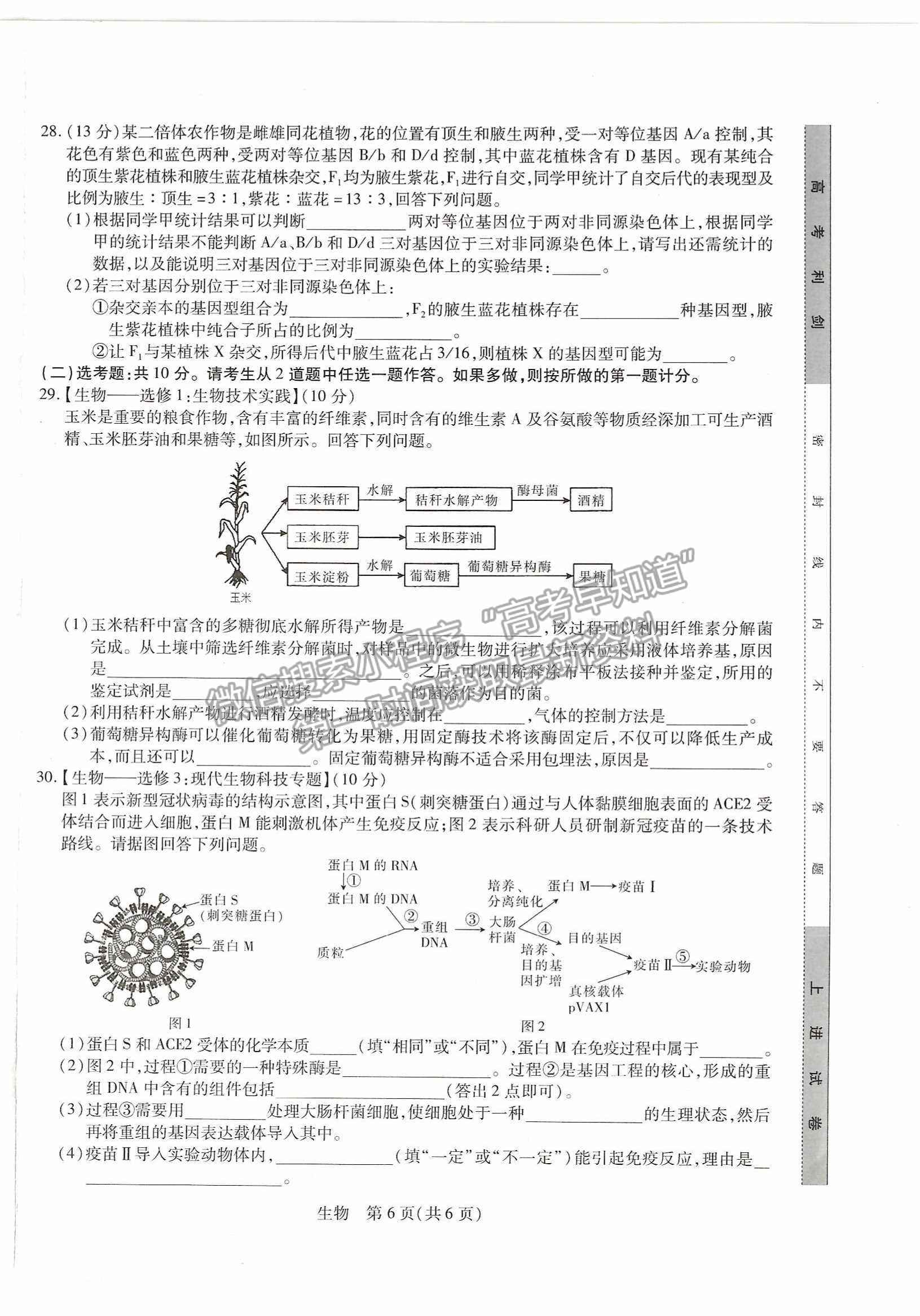 2023江西紅色十校9月高三生物試卷及答案