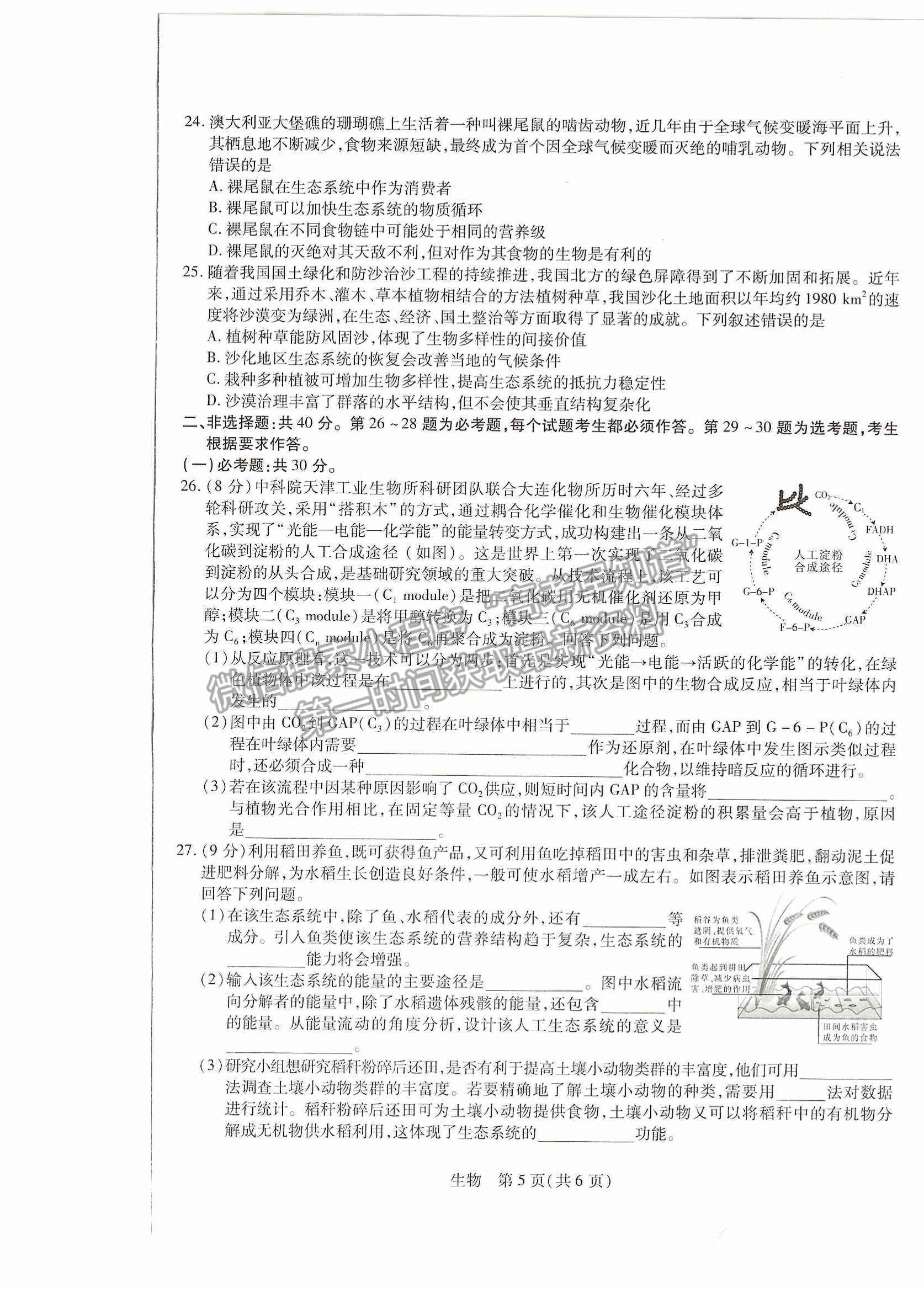 2023江西紅色十校9月高三生物試卷及答案