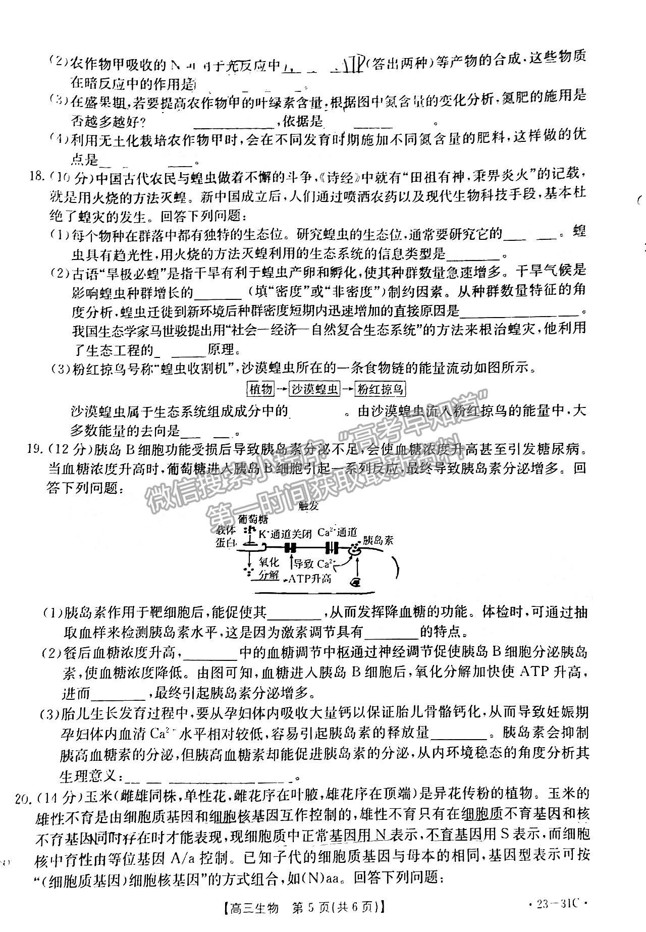 2023廣東高三9月大聯(lián)考（23-31C）生物試題及參考答案