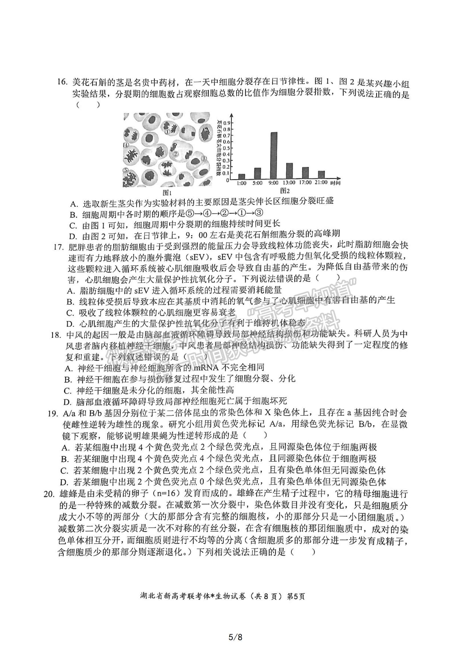 2023屆湖北省荊荊宜三校高三上學(xué)期9月聯(lián)考生物試卷及參考答案