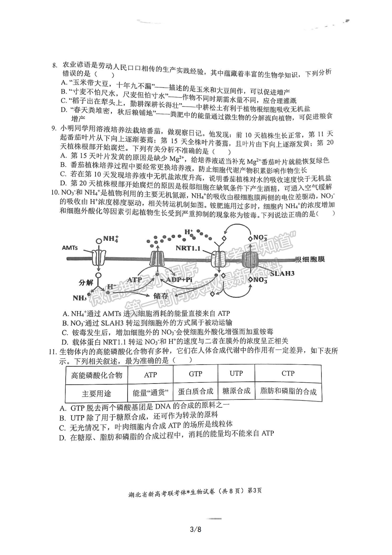 2023屆湖北省荊荊宜三校高三上學期9月聯(lián)考生物試卷及參考答案