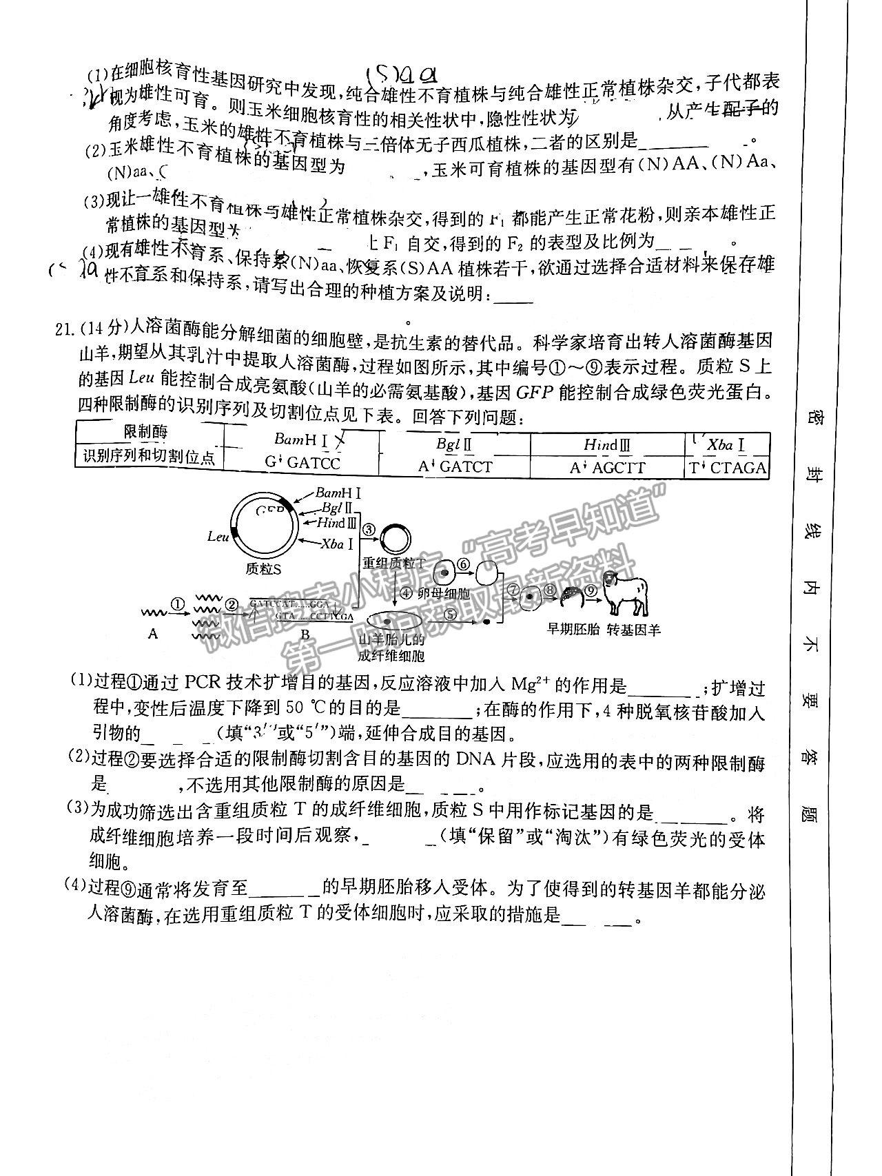 2023廣東高三9月大聯(lián)考（23-31C）生物試題及參考答案