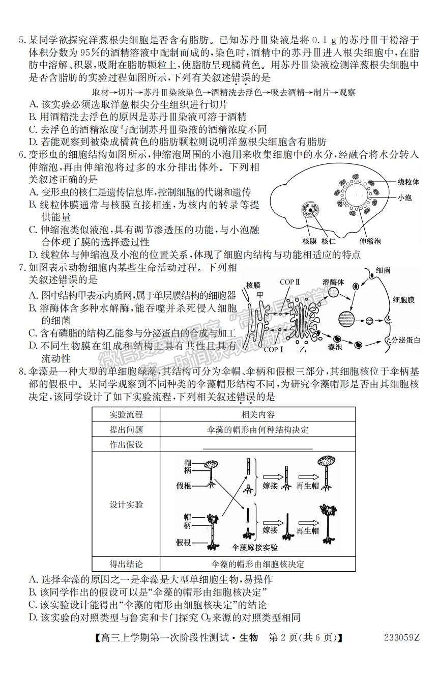 2023安徽省皖優(yōu)聯(lián)盟高三聯(lián)考生物試卷及答案