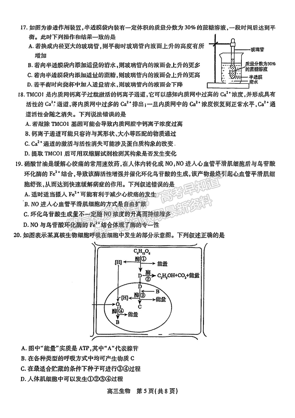 2023安徽鼎尖教育高三10月聯(lián)考生物試卷及答案