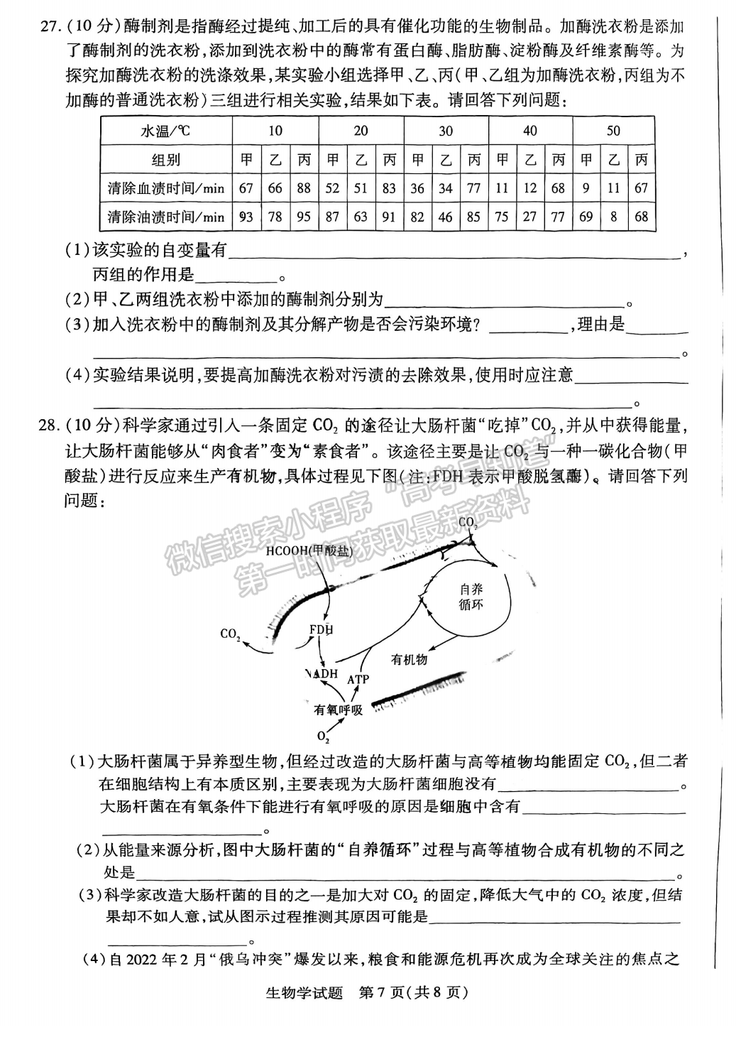 2023安徽皖豫聯(lián)盟高三10月聯(lián)考生物試卷及答案