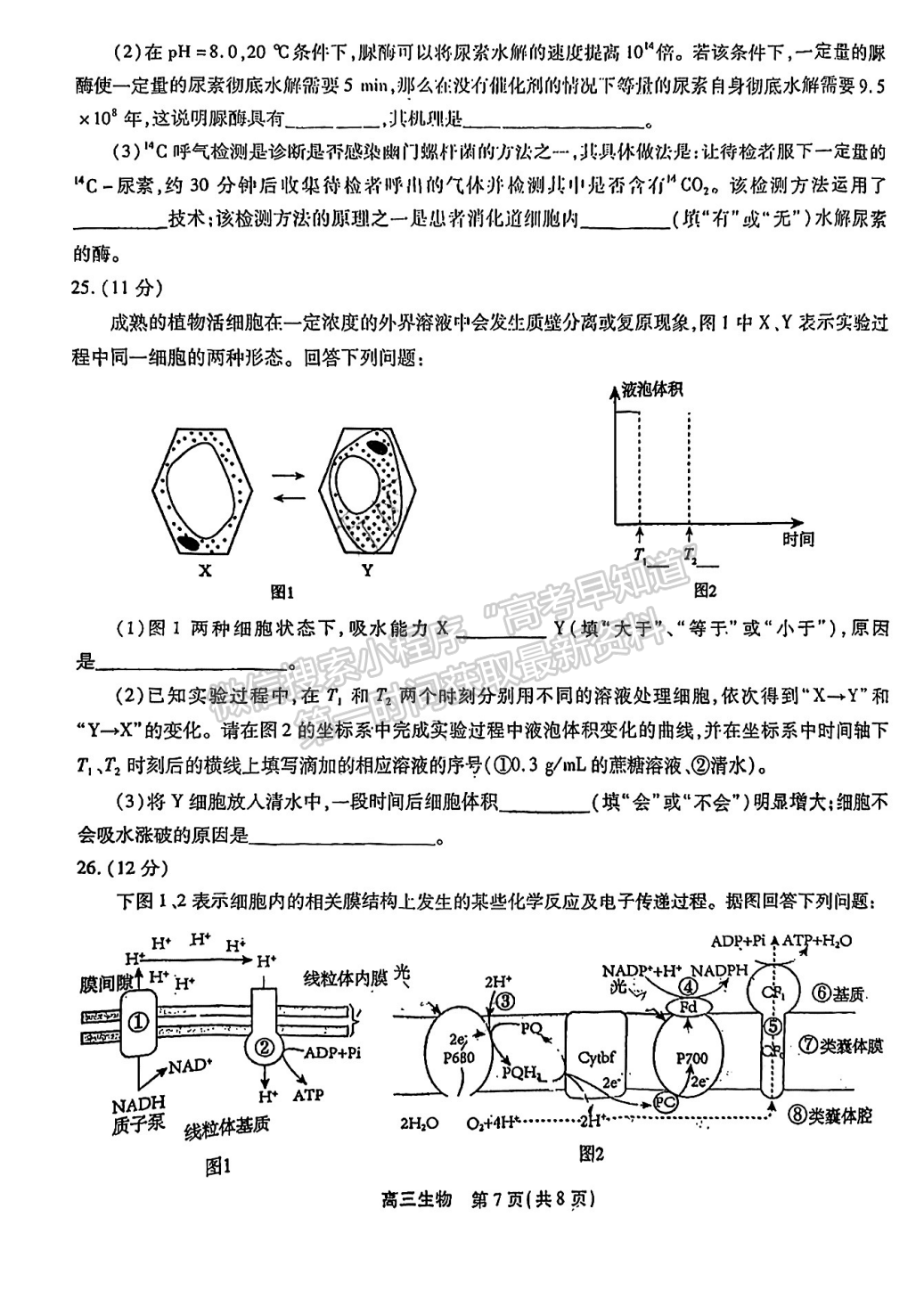 2023安徽鼎尖教育高三10月聯(lián)考生物試卷及答案