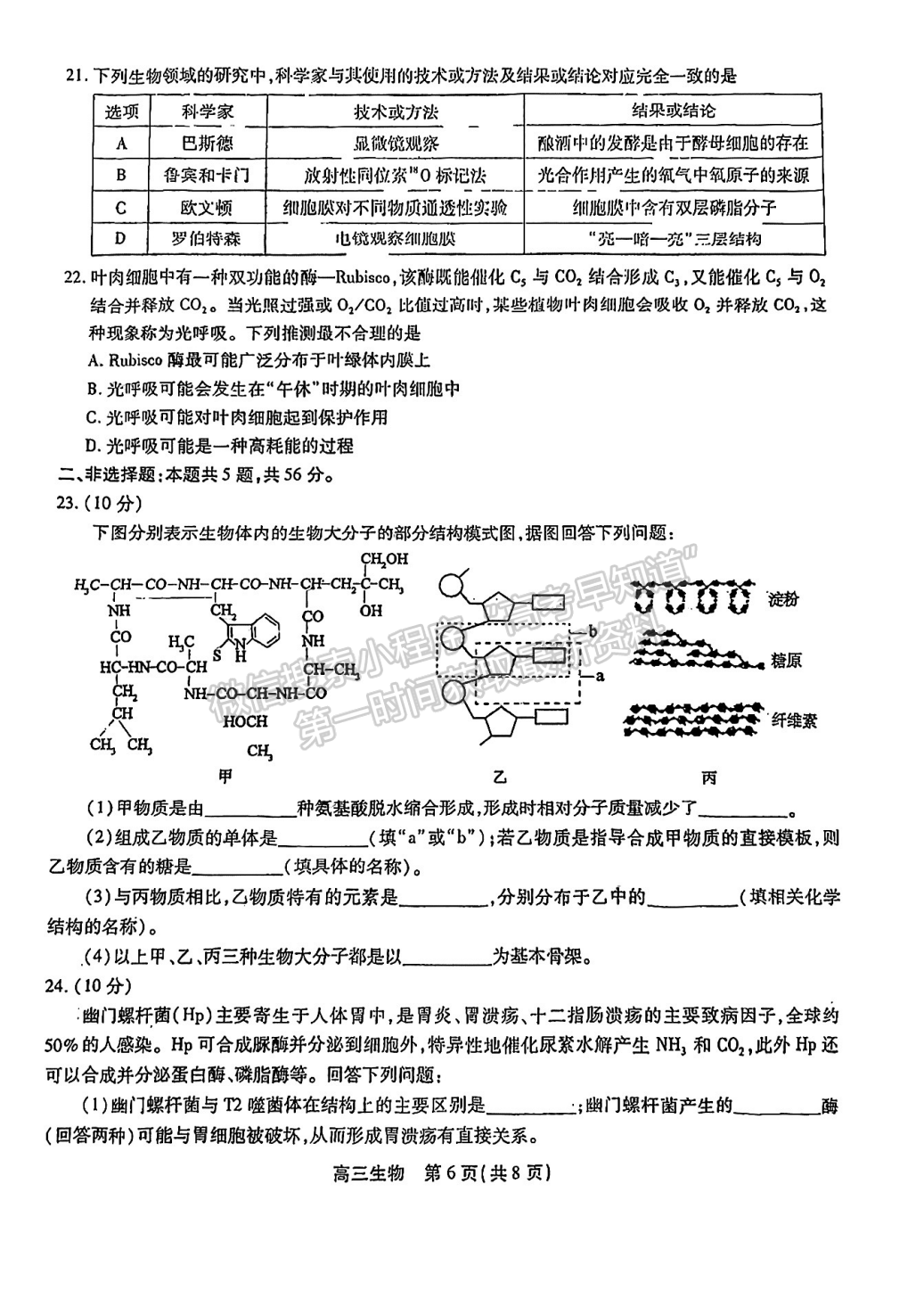 2023安徽鼎尖教育高三10月聯(lián)考生物試卷及答案