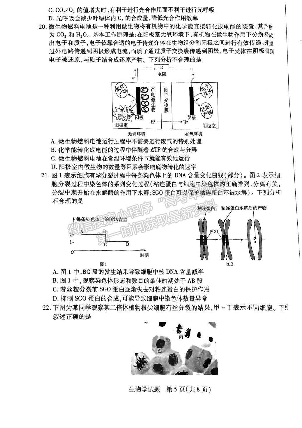 2023安徽皖豫聯(lián)盟高三10月聯(lián)考生物試卷及答案