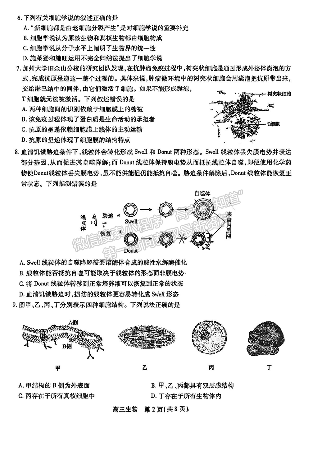 2023安徽鼎尖教育高三10月聯(lián)考生物試卷及答案