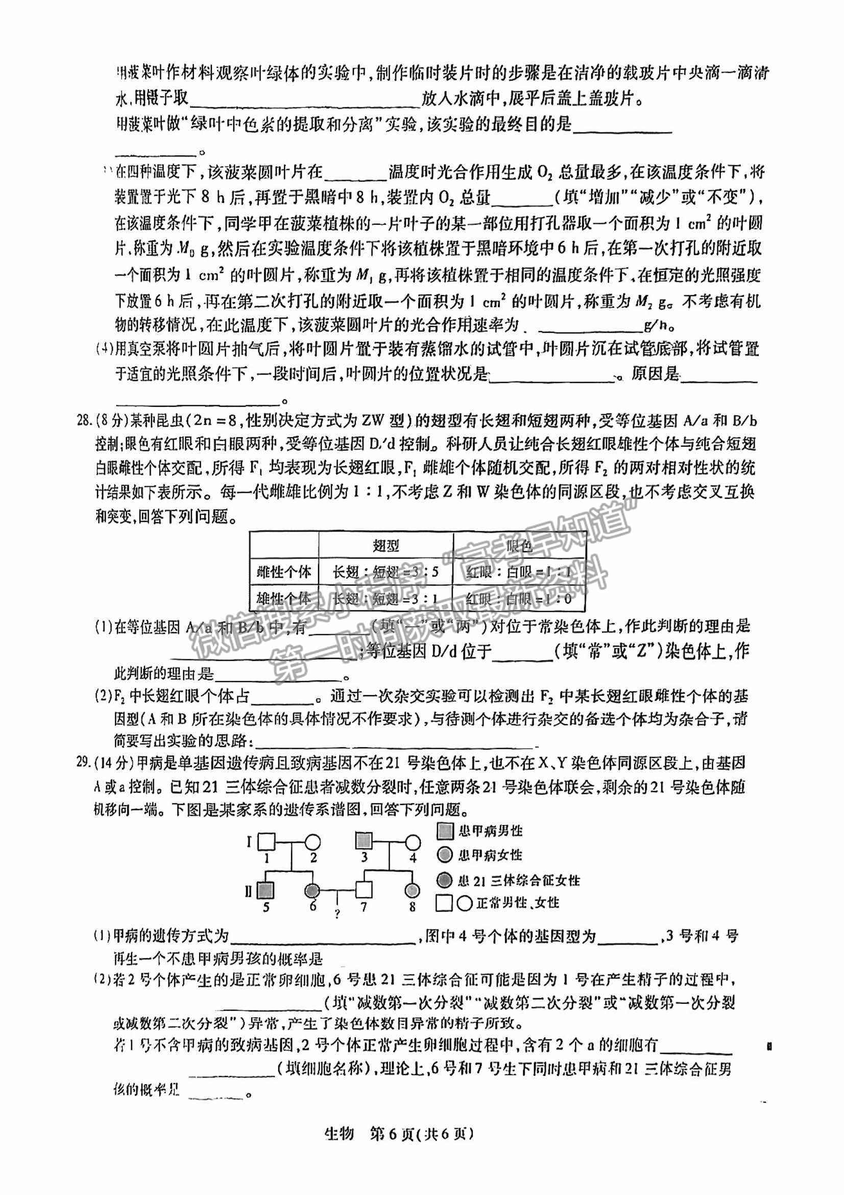 江西穩(wěn)派2023屆高三10月統(tǒng)一調(diào)研測(cè)試生物試卷及答案