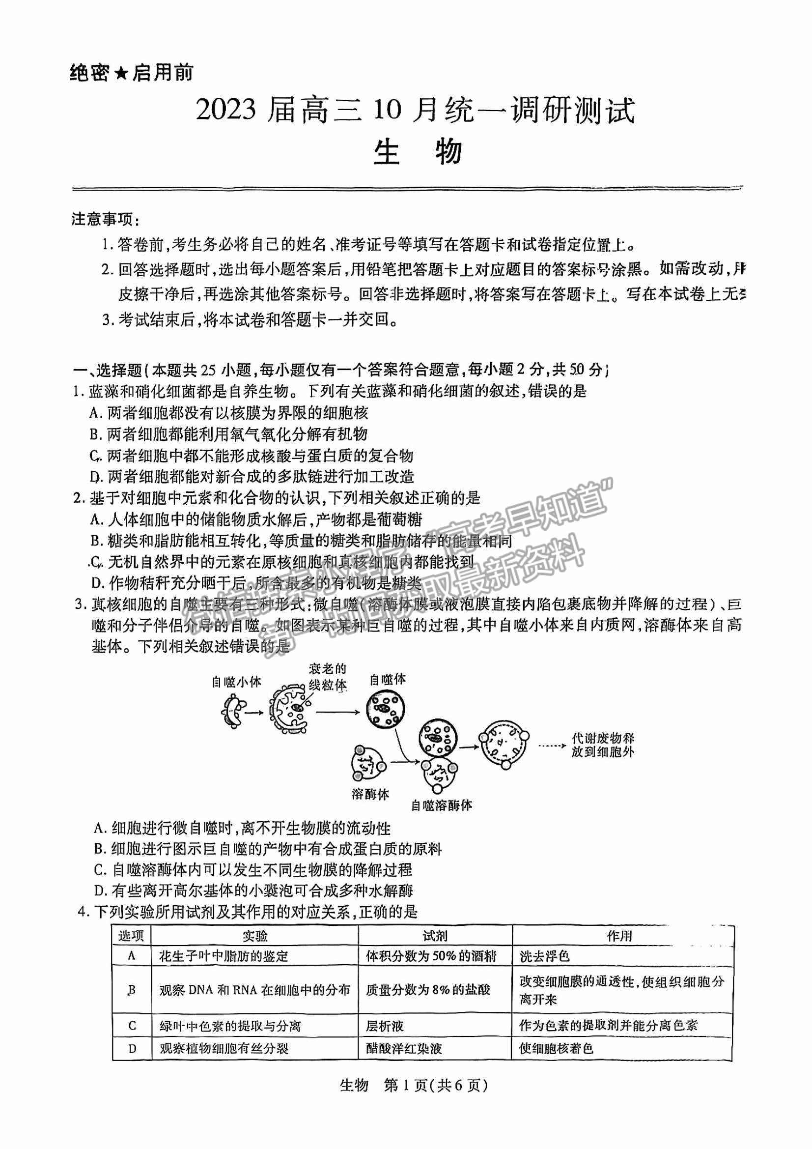 江西穩(wěn)派2023屆高三10月統(tǒng)一調(diào)研測試生物試卷及答案