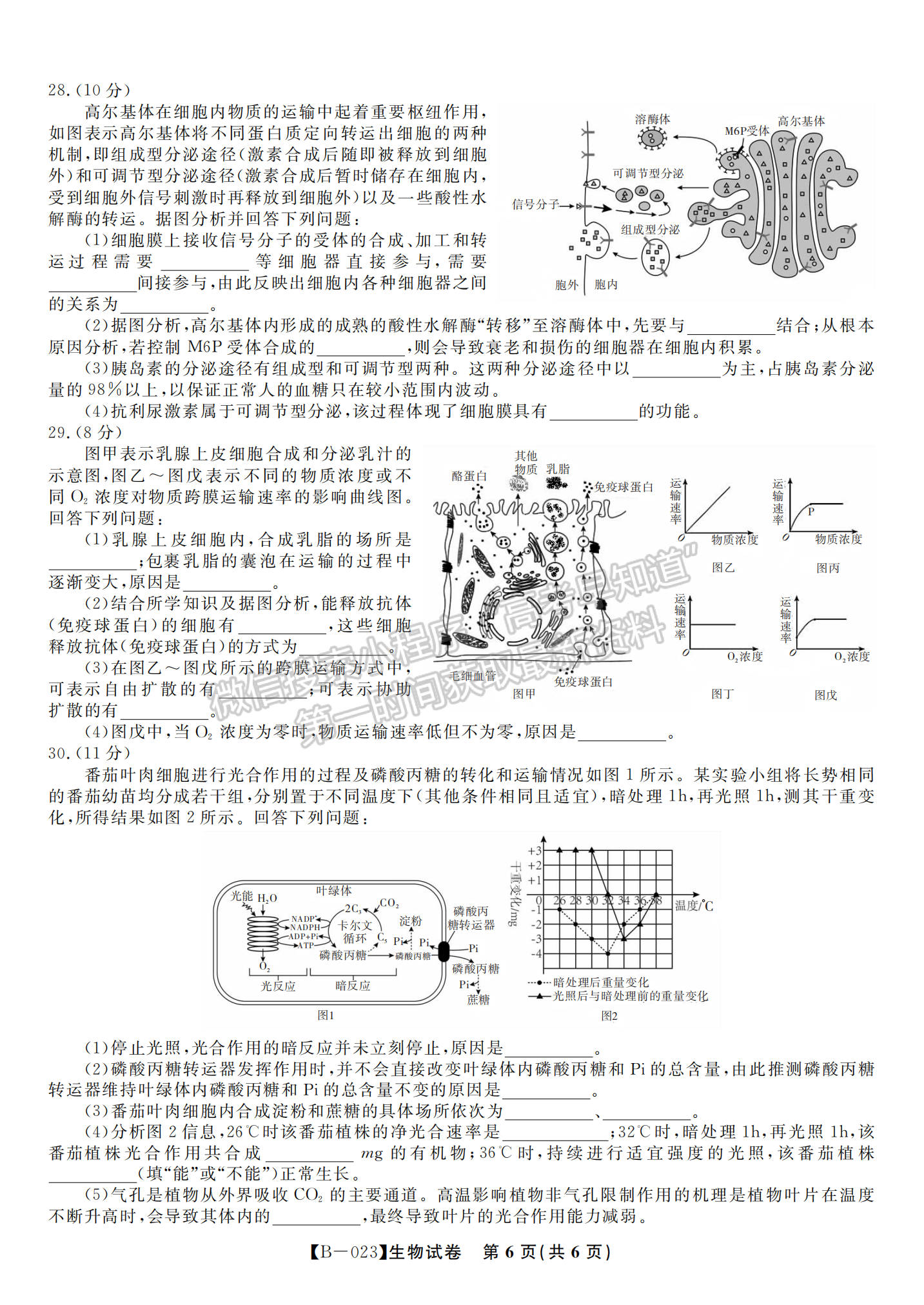 2023安徽省省示范高中2023屆高三第二次聯(lián)考生物試卷及答案