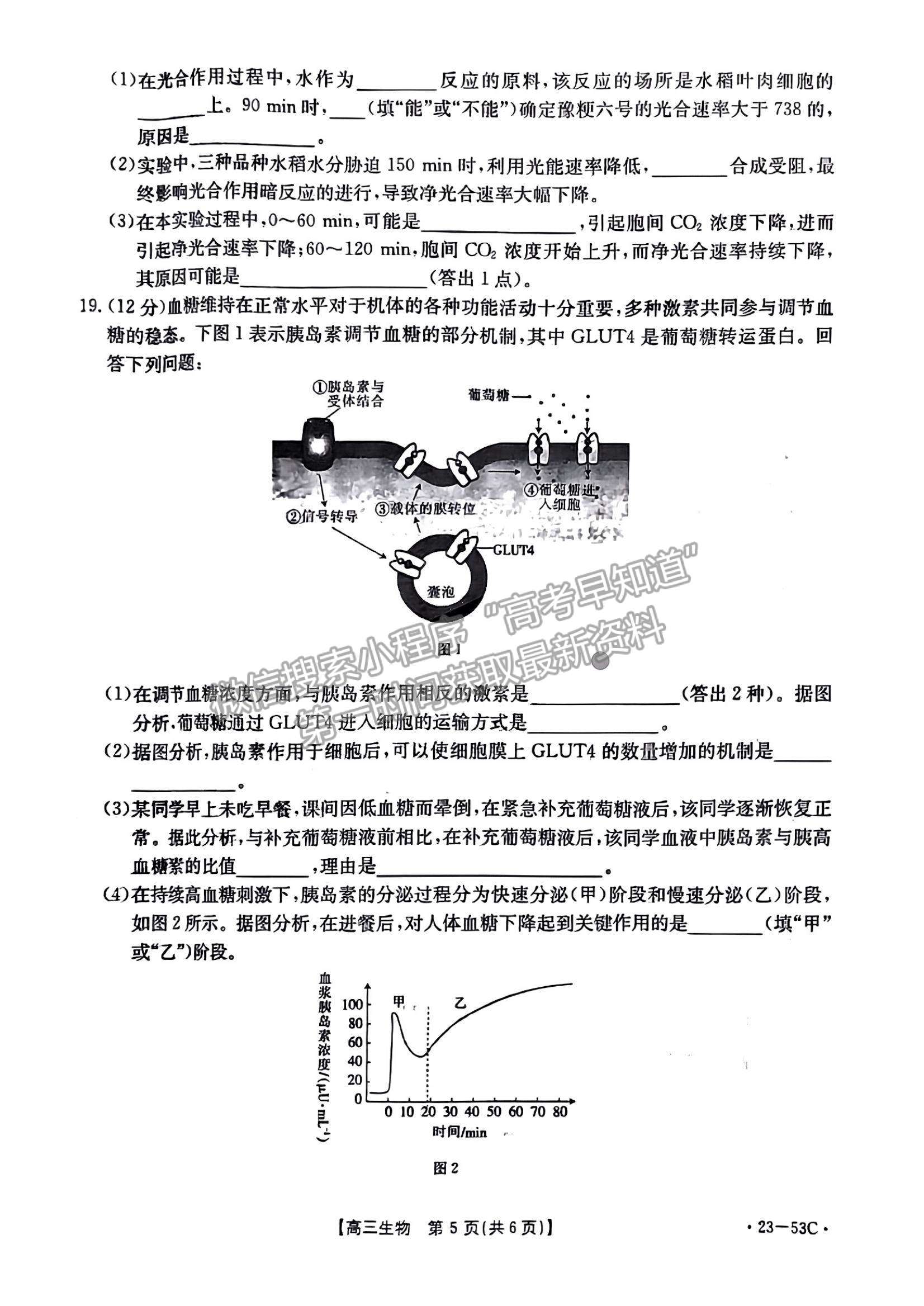 2023廣東10月大聯(lián)考（23-53C）生物試題及參考答案