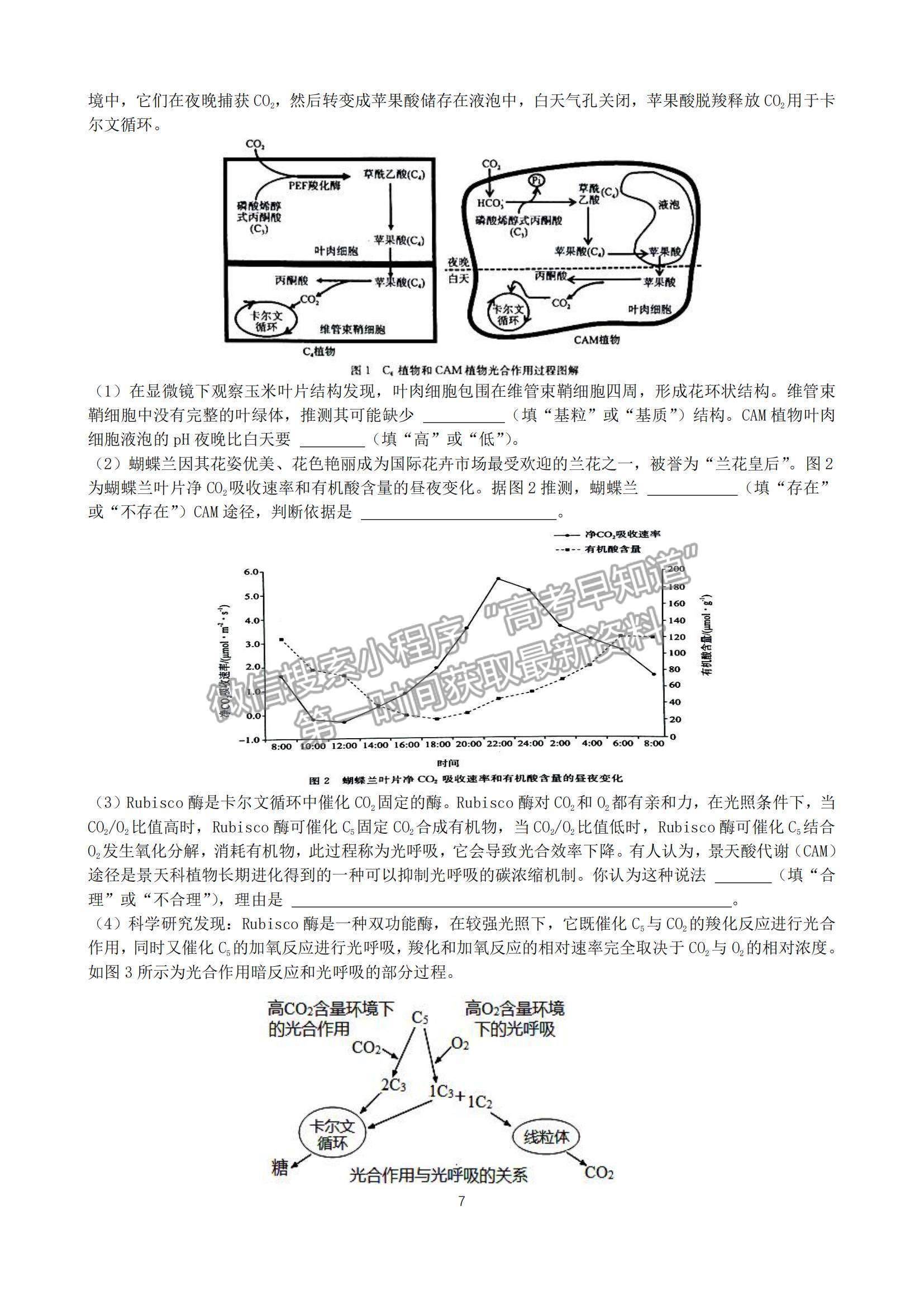 2023山東省棗莊市第三中學高三上學期開學考生物試卷及答案