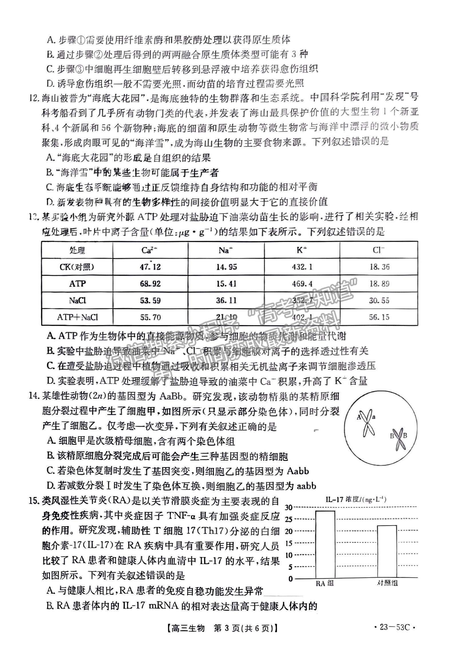 2023廣東10月大聯(lián)考（23-53C）生物試題及參考答案