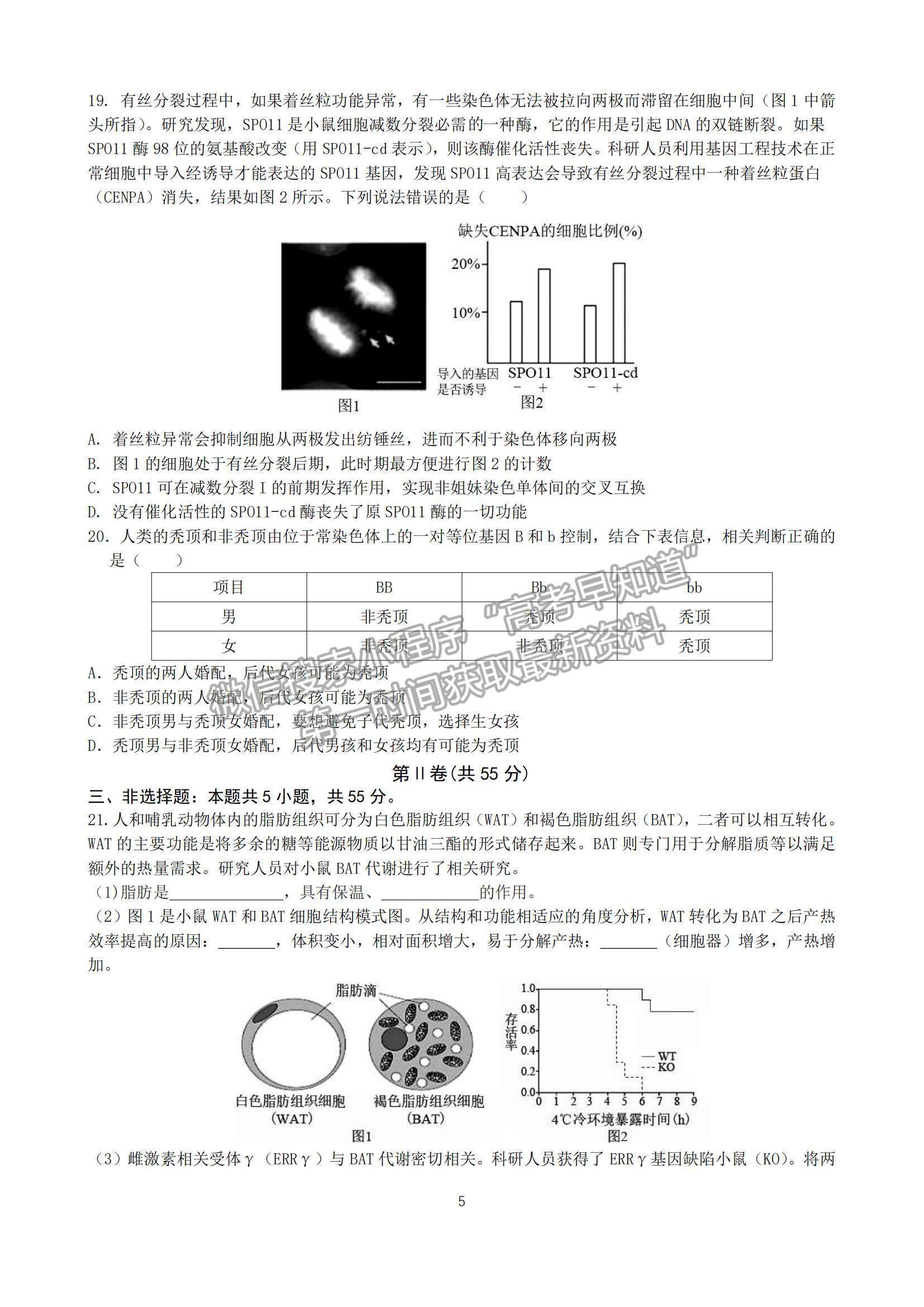 2023山東省棗莊市第三中學(xué)高三上學(xué)期開(kāi)學(xué)考生物試卷及答案