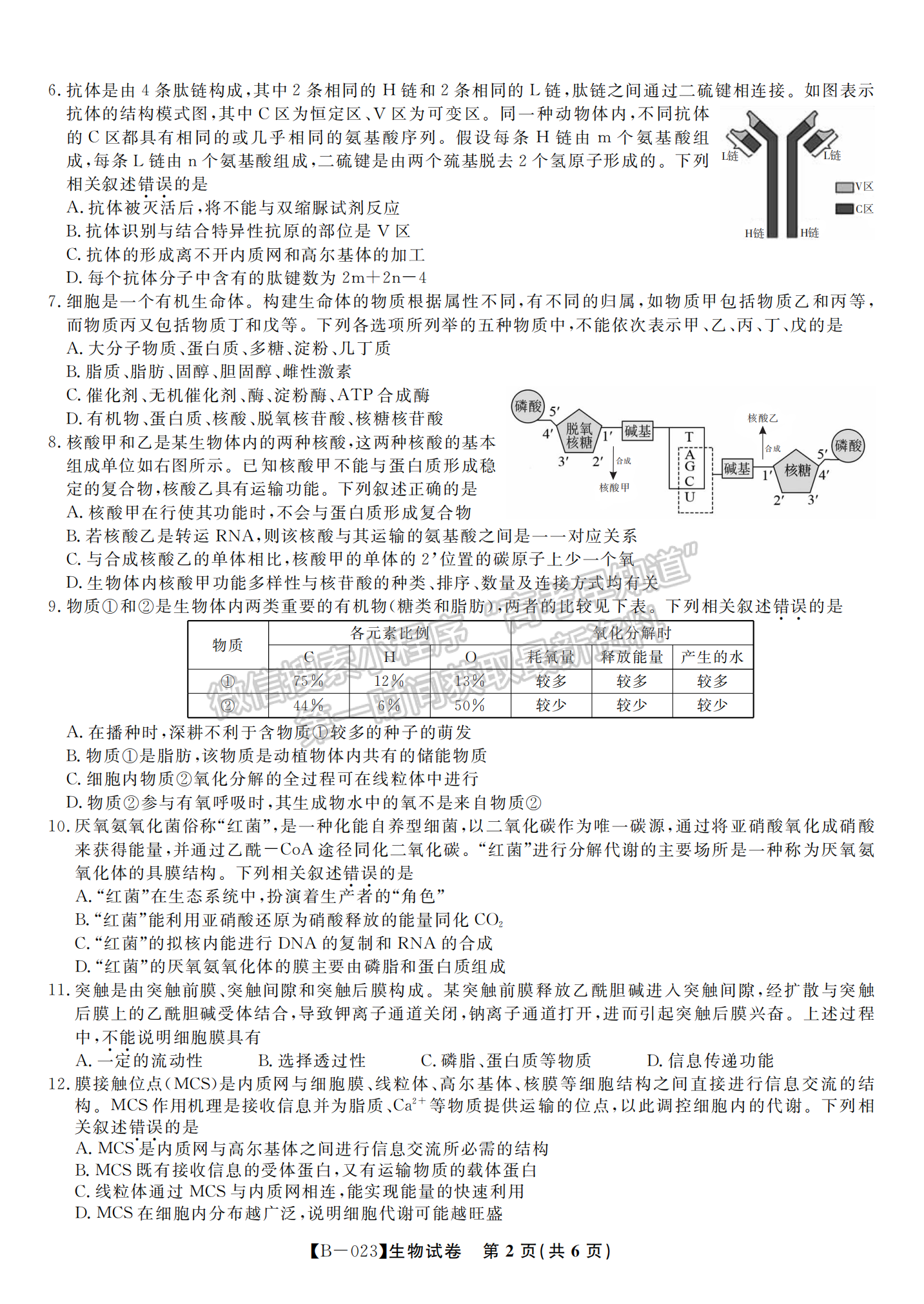 2023安徽省省示范高中2023屆高三第二次聯(lián)考生物試卷及答案