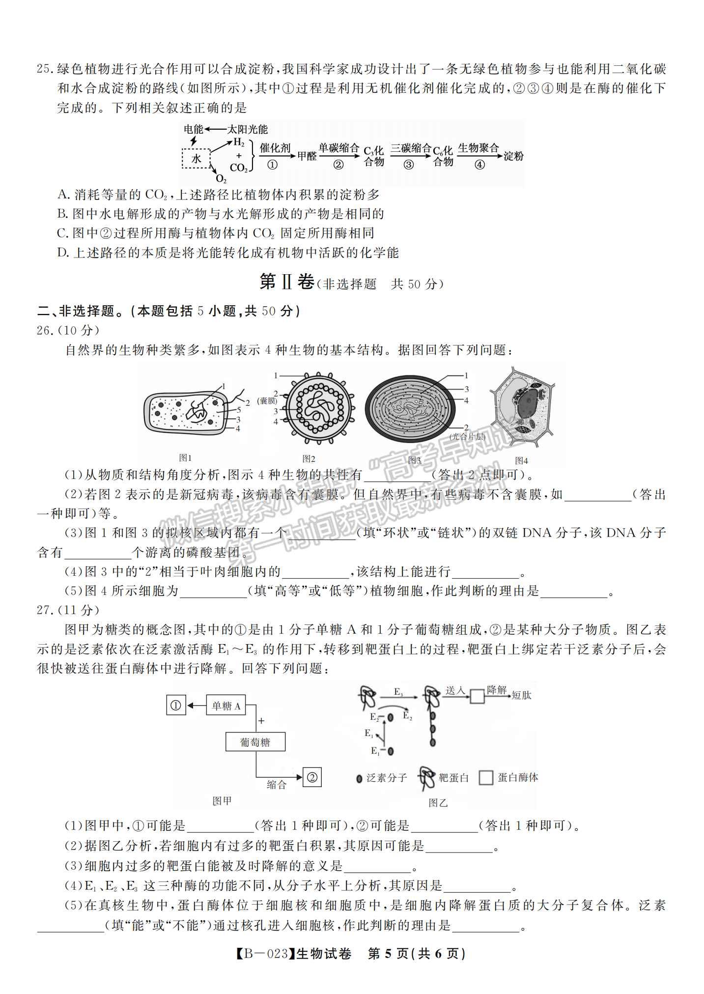 2023安徽省省示范高中2023屆高三第二次聯(lián)考生物試卷及答案