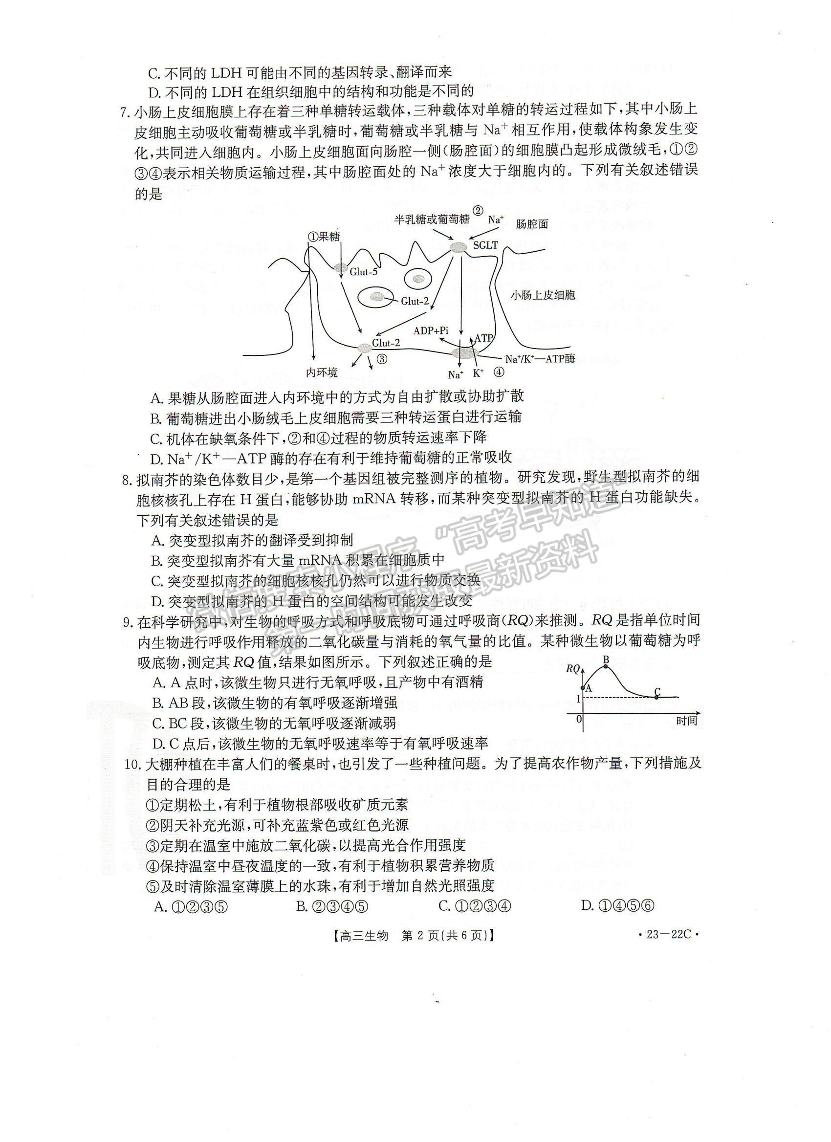 2023屆湖北10月大聯(lián)考（23-22C）生物試卷及參考答案