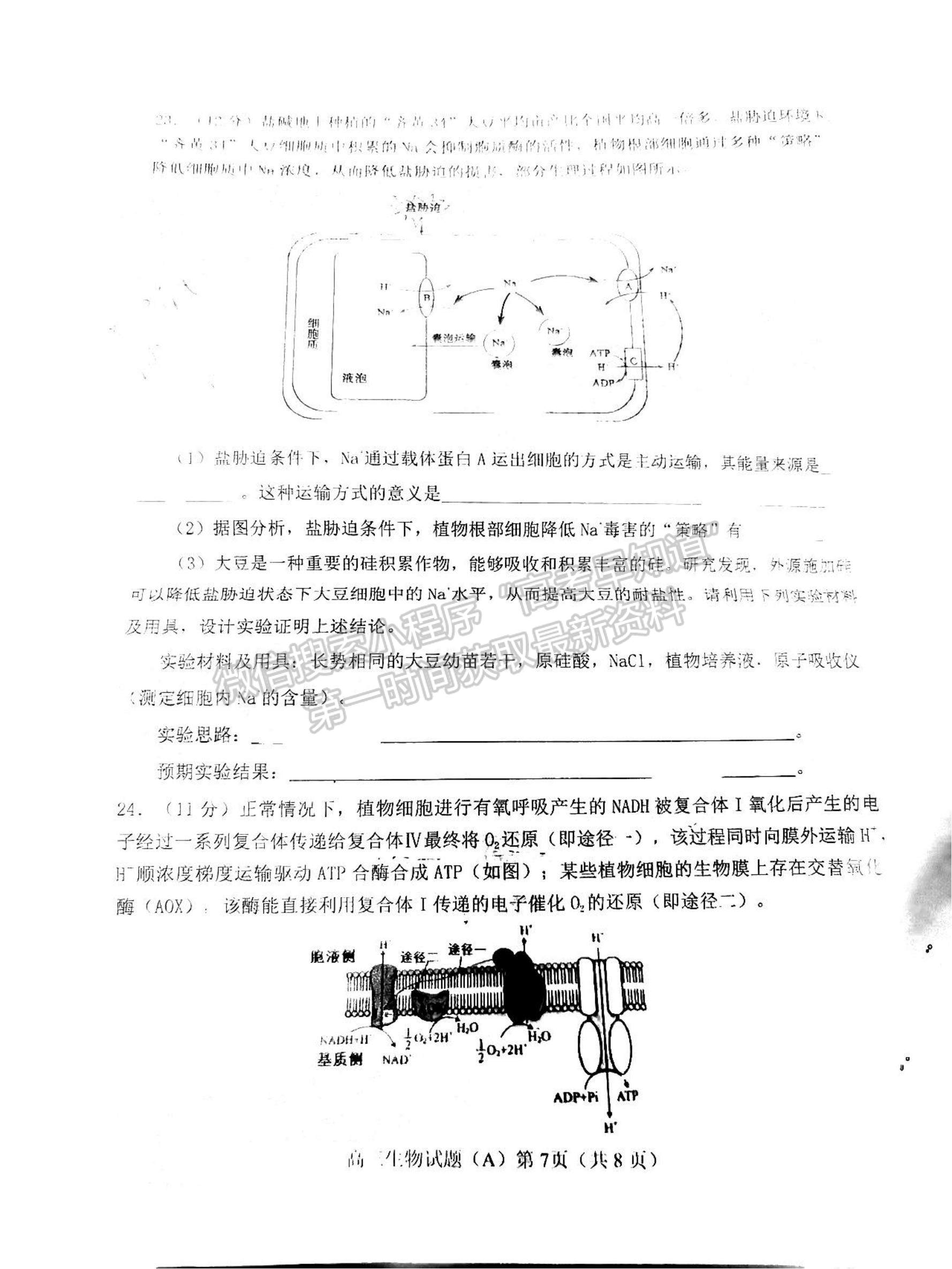 2023年山東省濰坊五縣高三階段性檢測(cè)生物試卷及答案