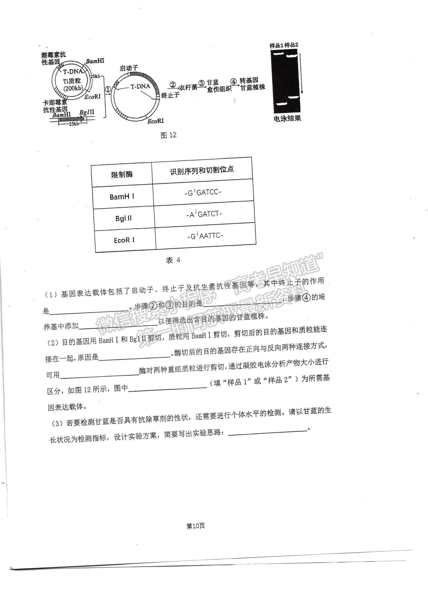 2023廣東高三六校第二次聯(lián)考生物試題及參考答案