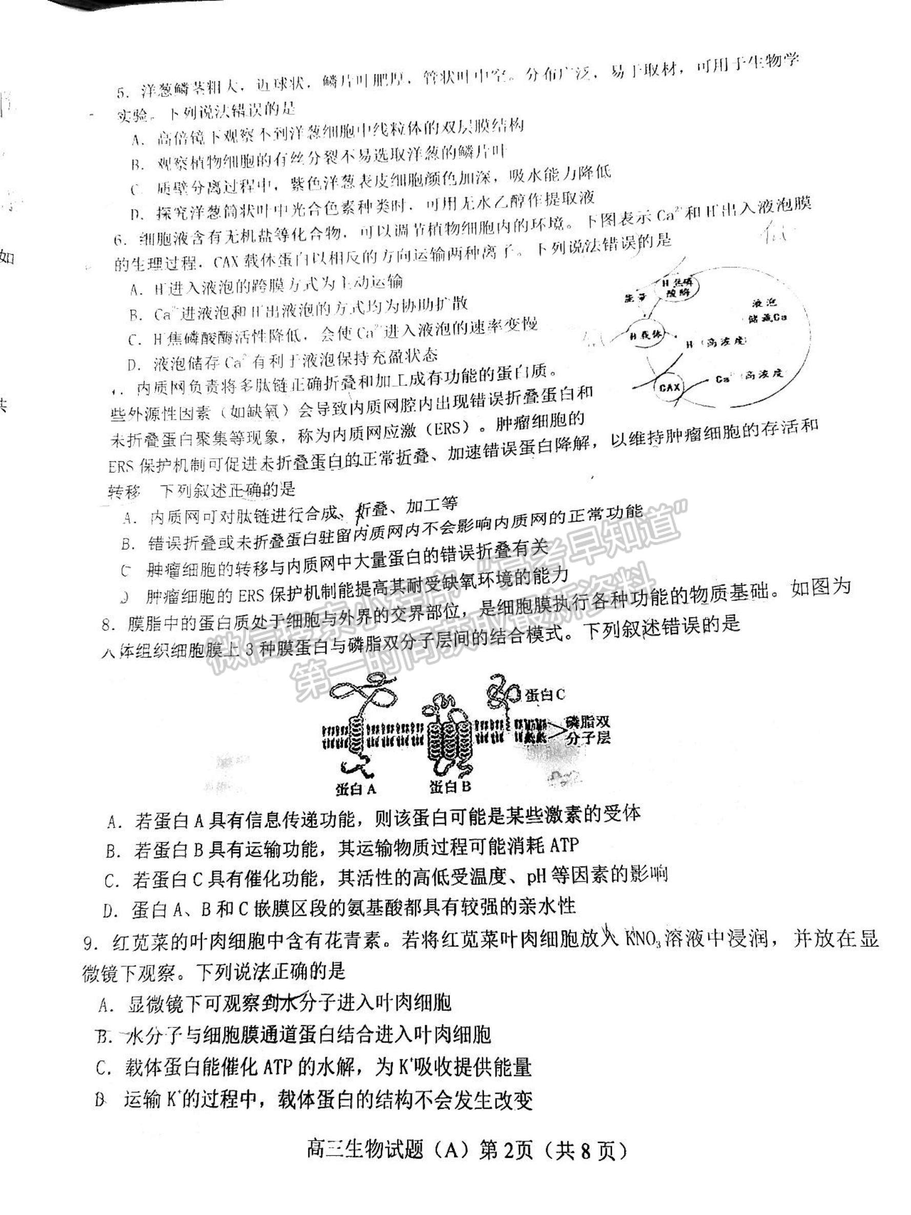 2023年山東省濰坊五縣高三階段性檢測生物試卷及答案