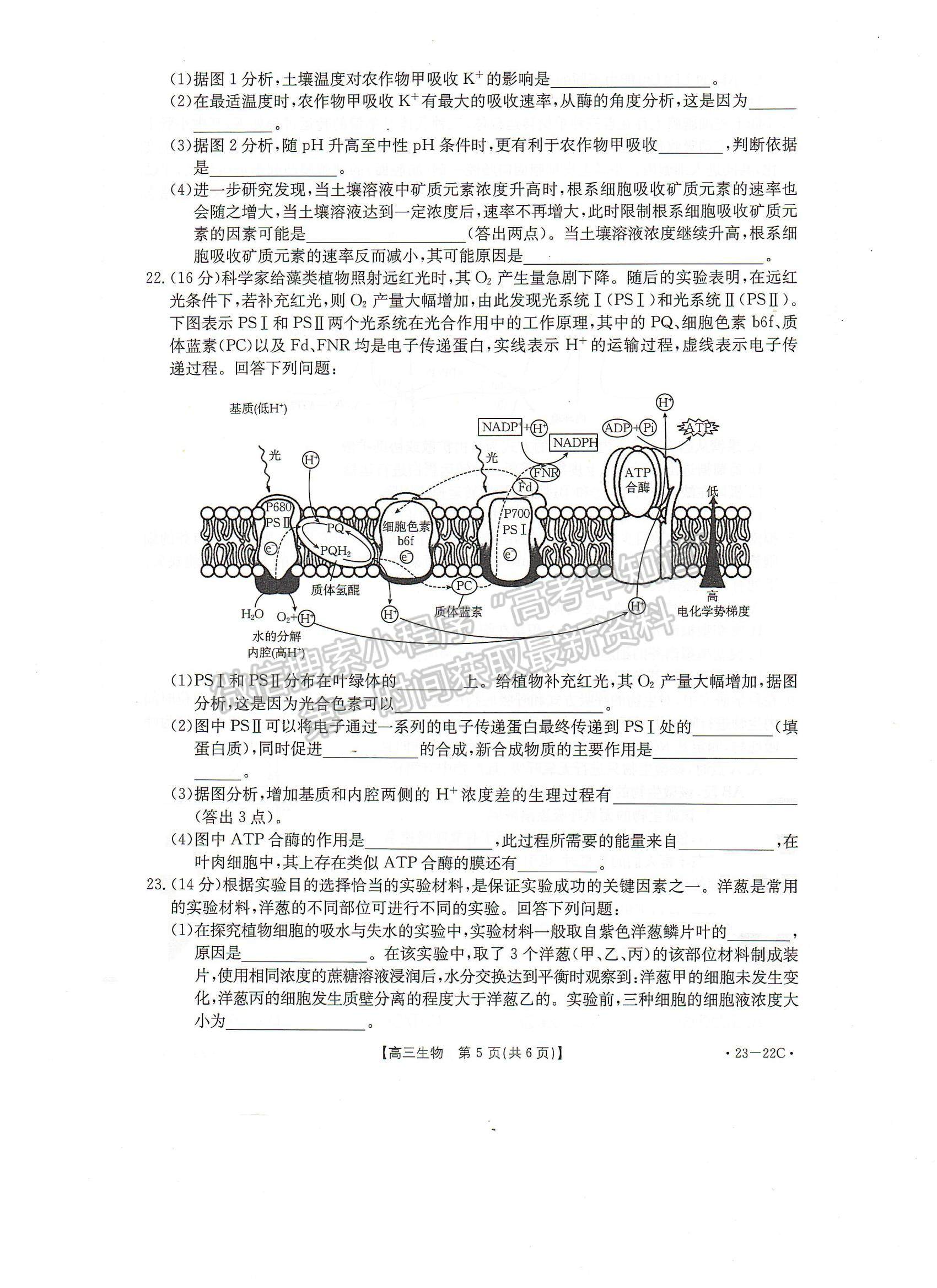 2023屆湖北10月大聯(lián)考（23-22C）生物試卷及參考答案