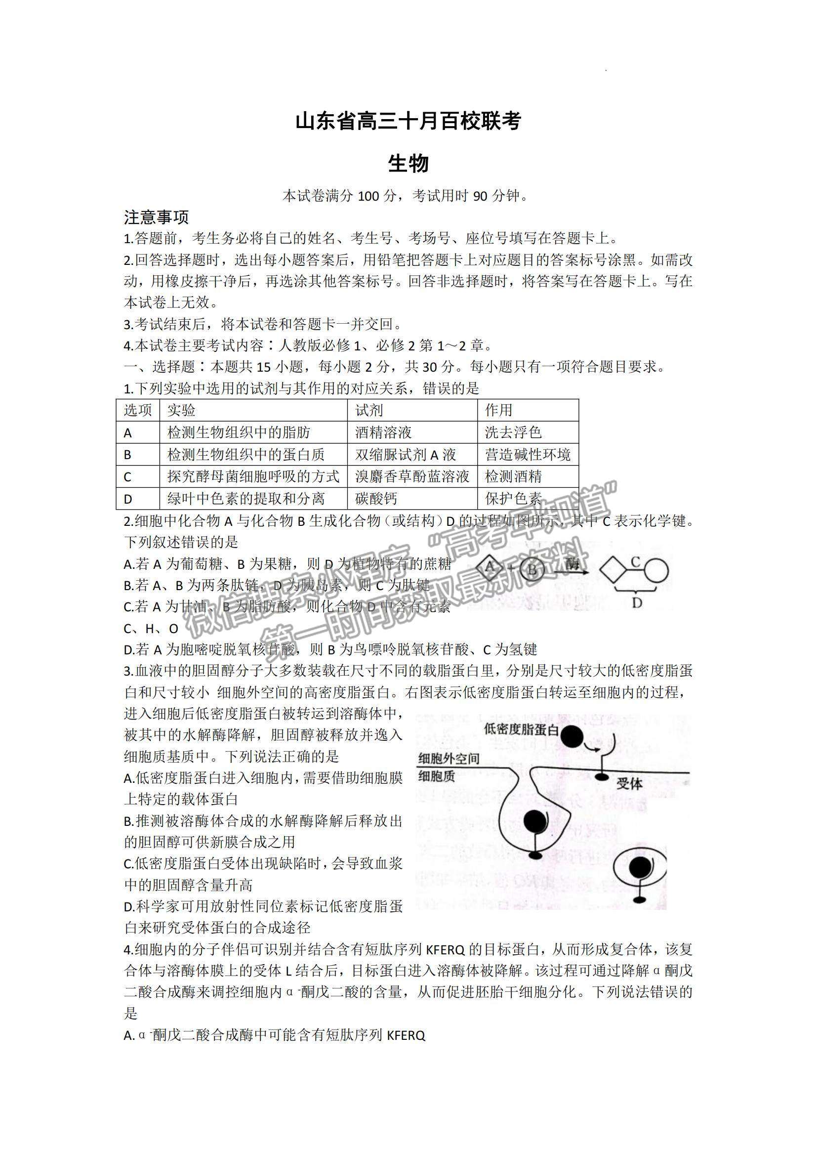 2023山東省高三十月百校聯(lián)考（54C）生物試卷及答案