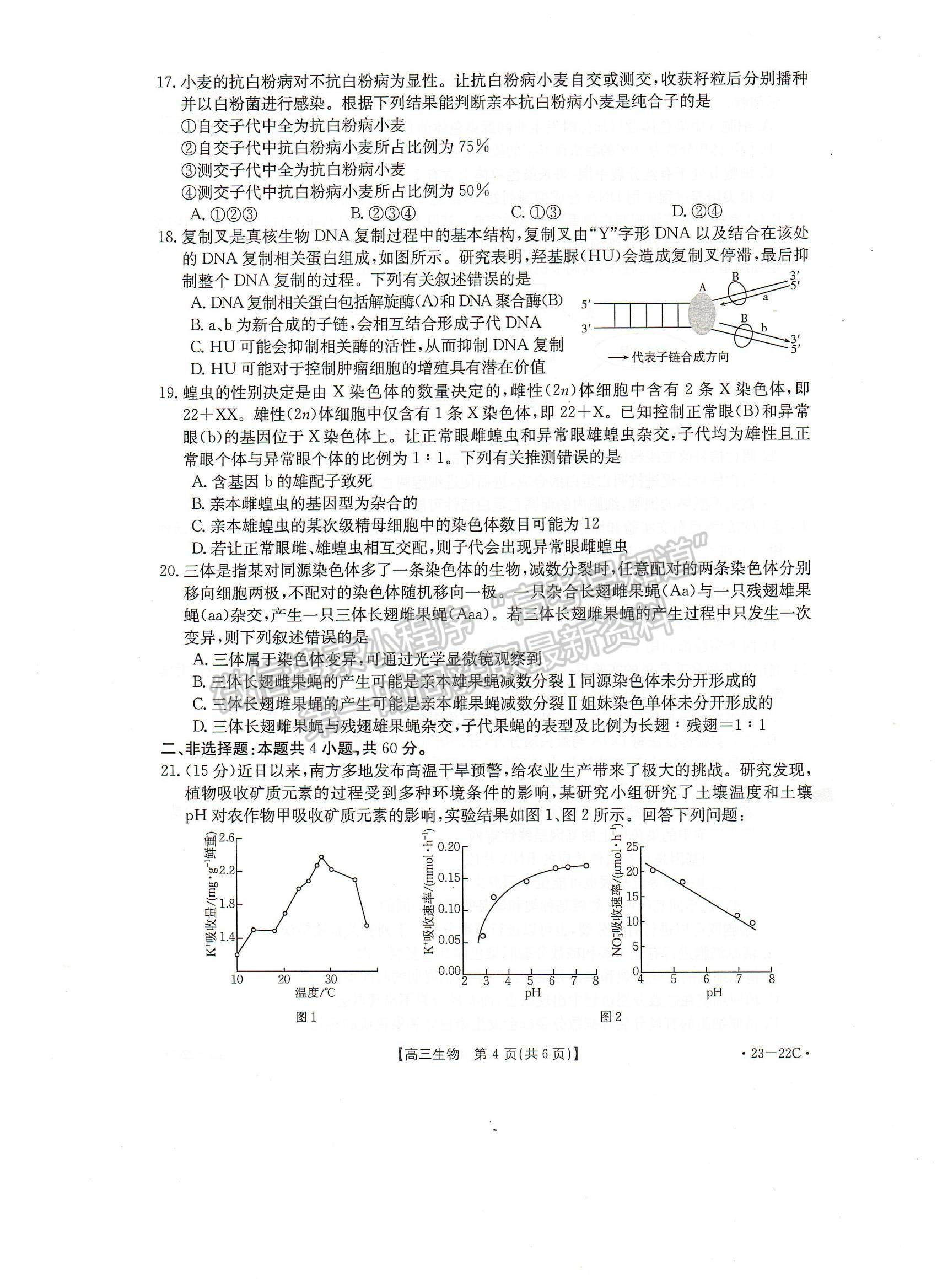 2023屆湖北10月大聯(lián)考（23-22C）生物試卷及參考答案