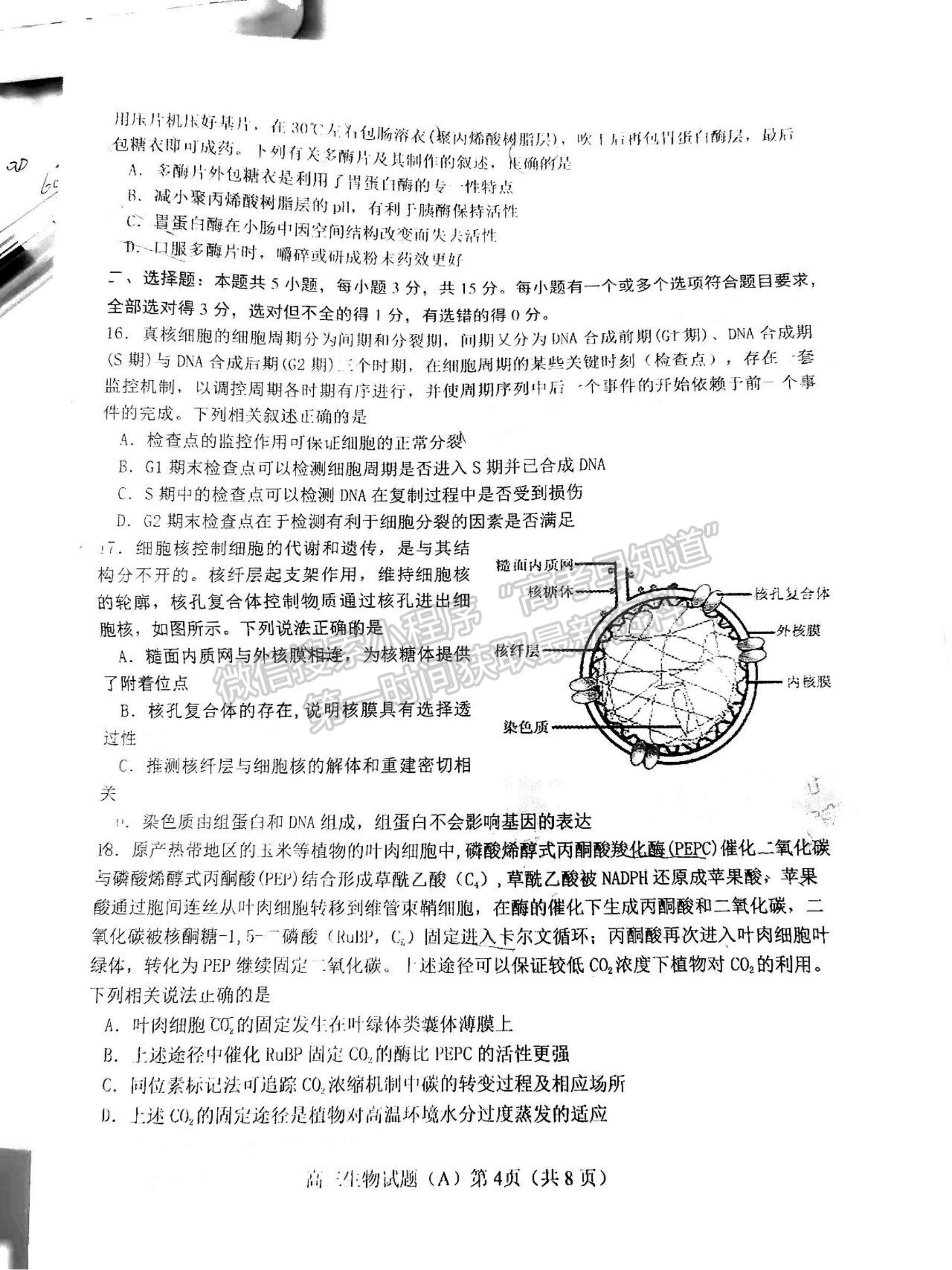 2023年山東省濰坊五縣高三階段性檢測(cè)生物試卷及答案