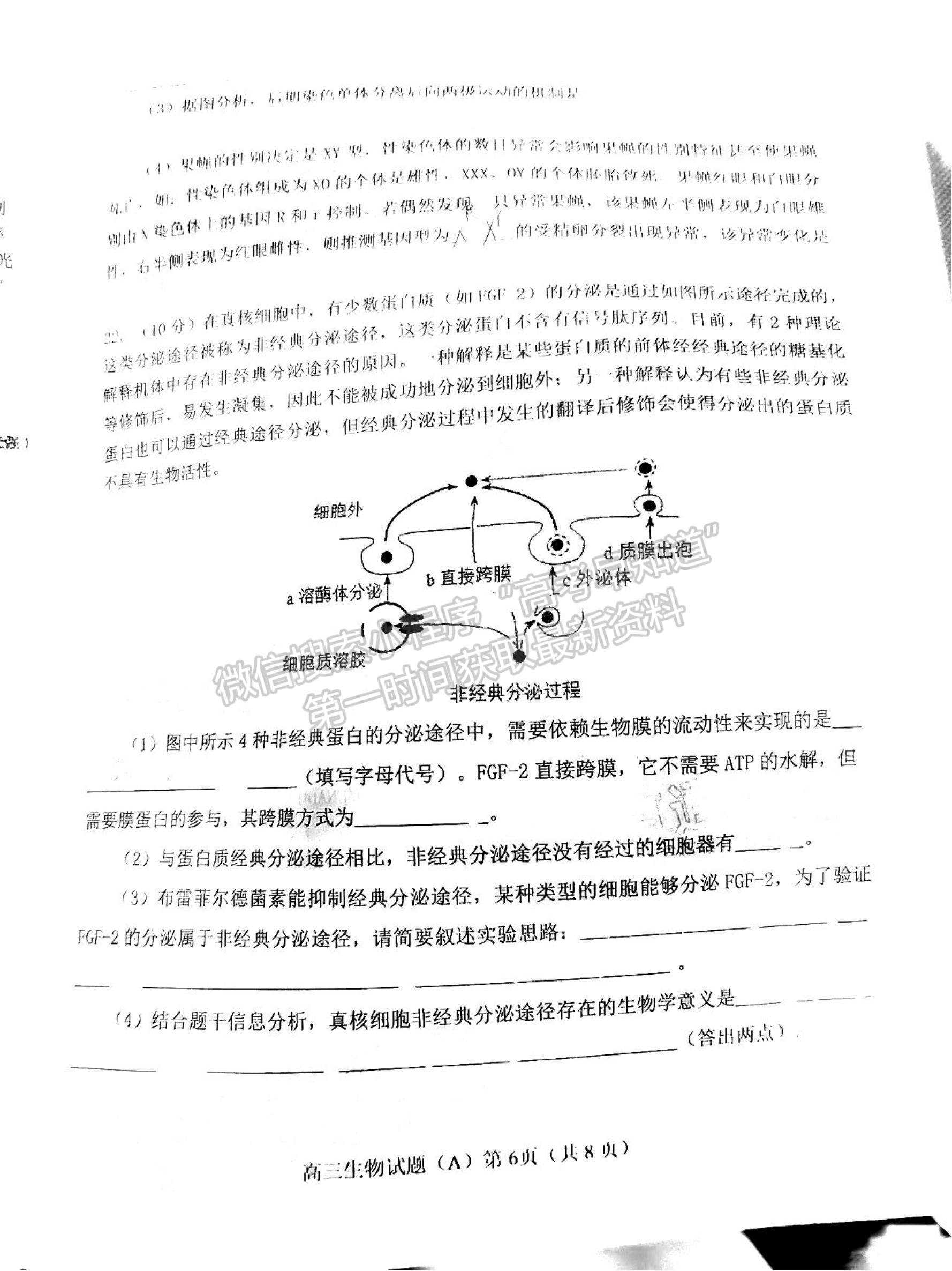 2023年山東省濰坊五縣高三階段性檢測(cè)生物試卷及答案