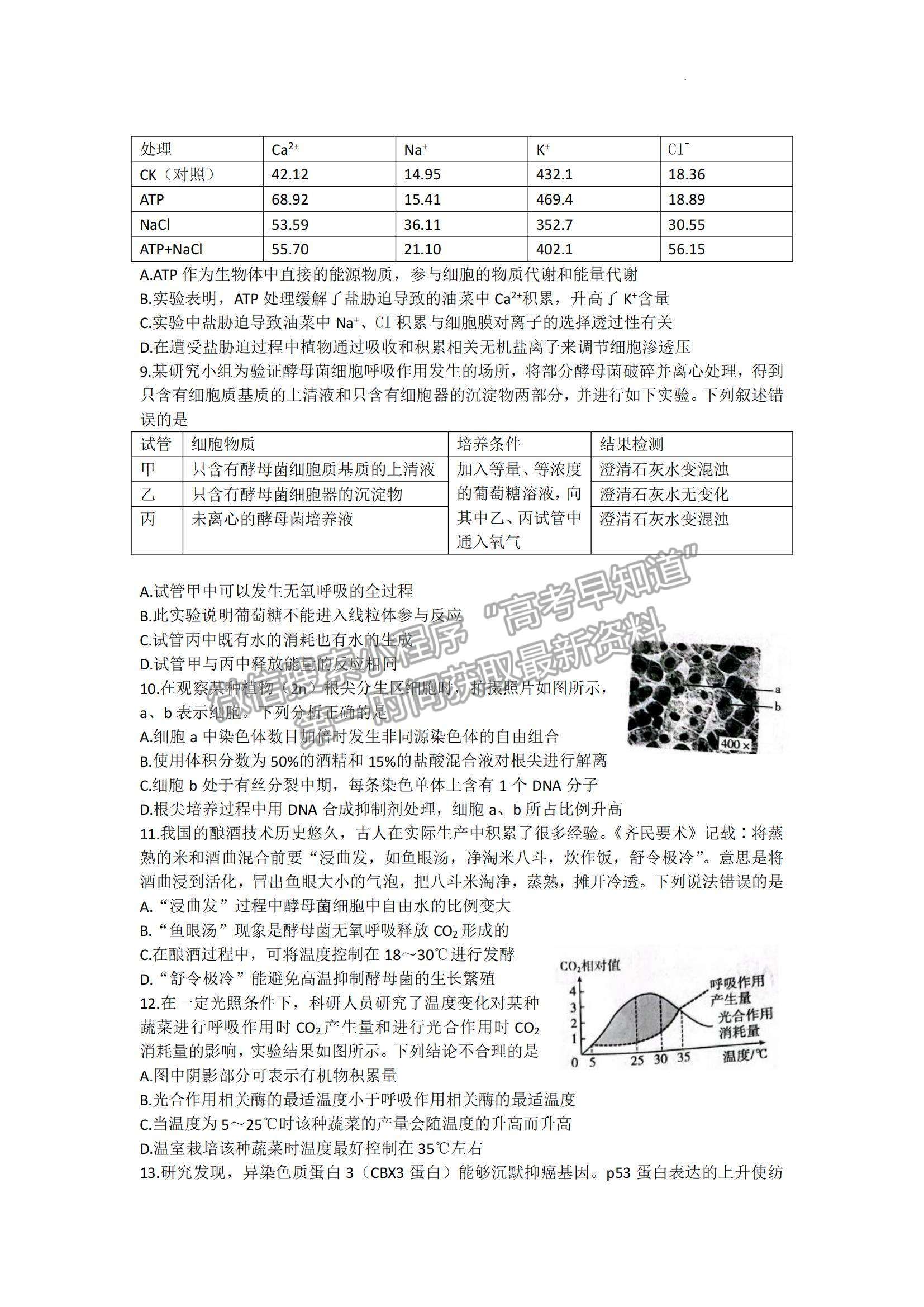 2023山東省高三十月百校聯(lián)考（54C）生物試卷及答案