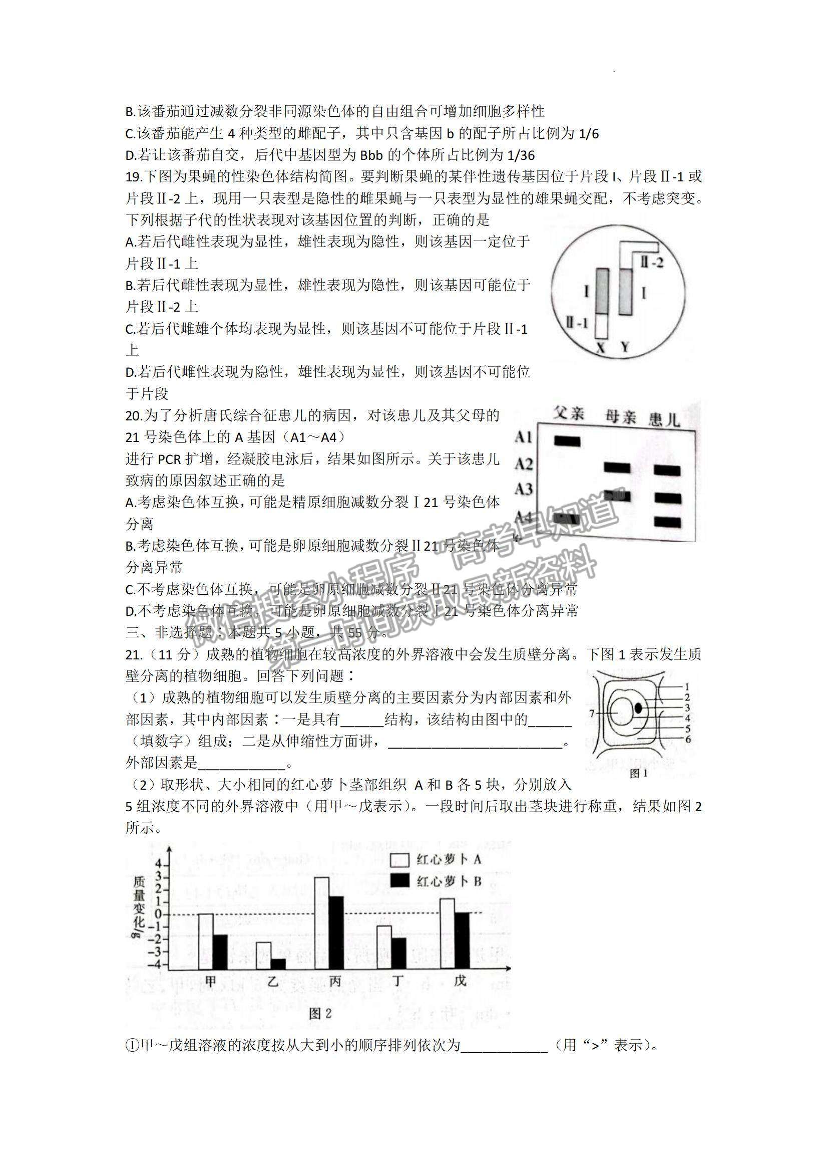 2023山東省高三十月百校聯(lián)考（54C）生物試卷及答案