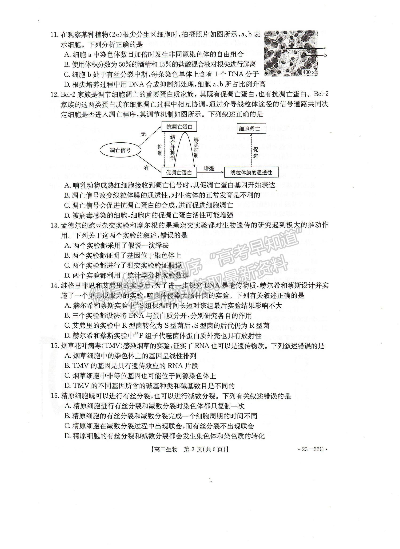 2023屆湖北10月大聯(lián)考（23-22C）生物試卷及參考答案