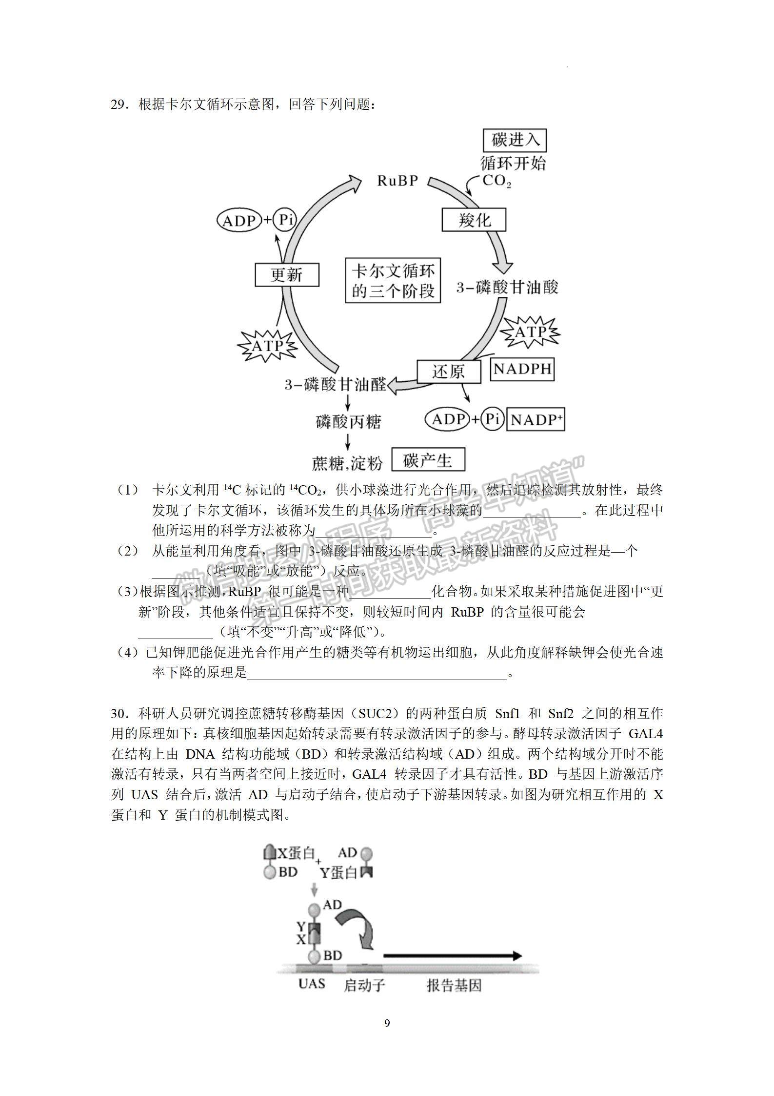 2023廣州執(zhí)信中學(xué)高三上學(xué)期第二次月考生物試題及參考答案