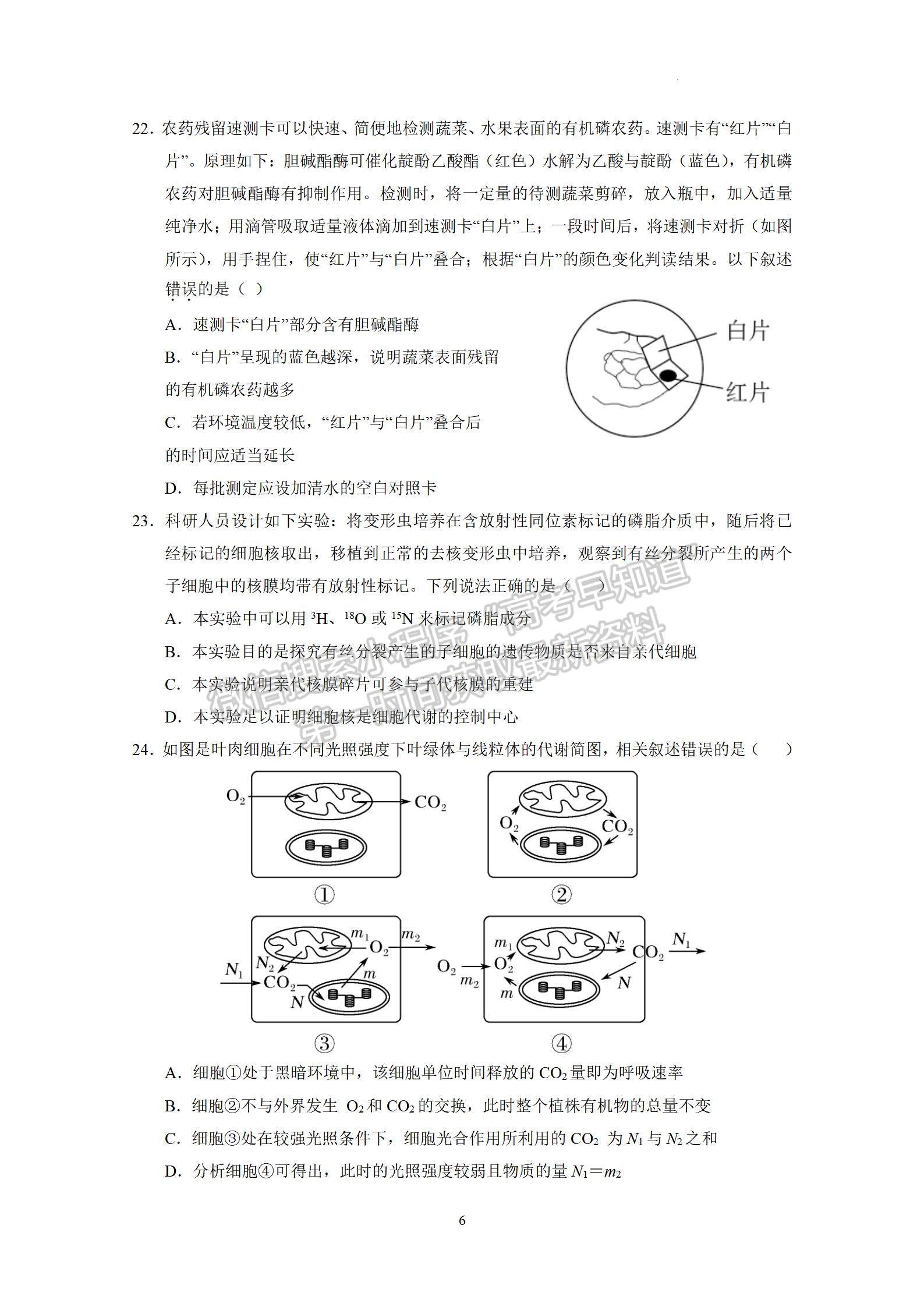 2023廣州執(zhí)信中學高三上學期第二次月考生物試題及參考答案