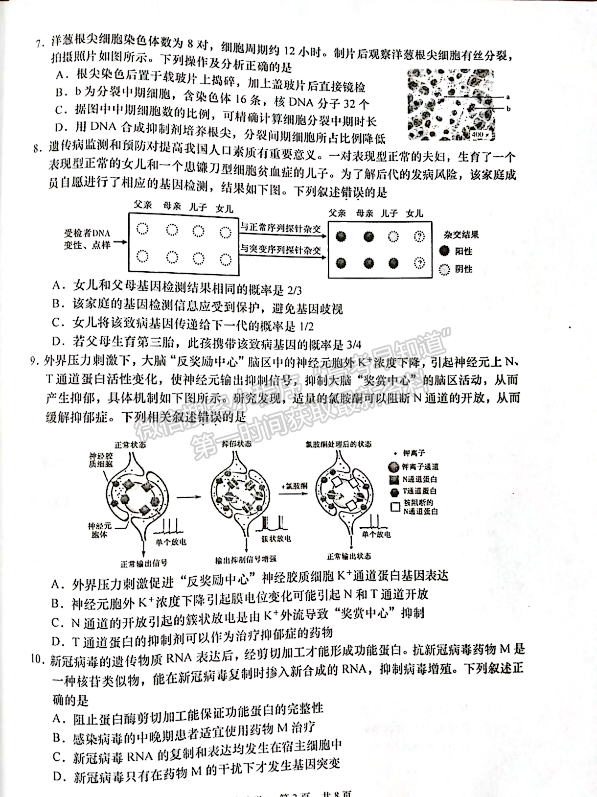 2023屆江蘇省如皋市高三上學(xué)期教學(xué)質(zhì)量調(diào)研（一）生物試題及參考答案