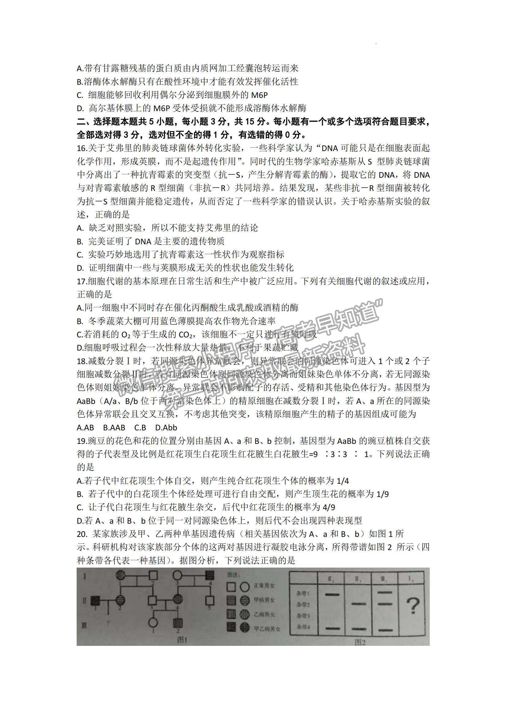 2023山東省濰坊市高三上學(xué)期10月份過(guò)程性檢測(cè)生物試題及答案