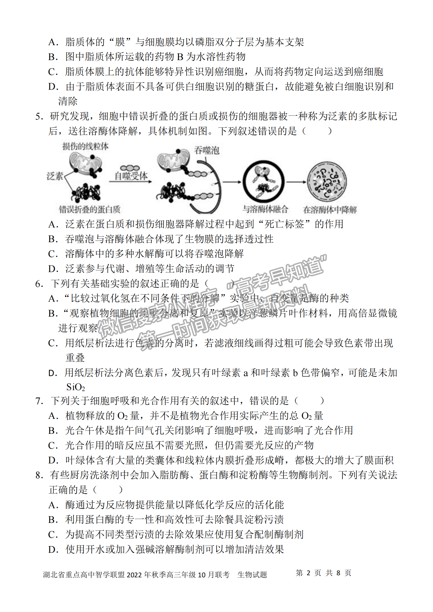 2023屆湖北重點中學智學聯(lián)盟高三10月聯(lián)考生物試卷及參考答案