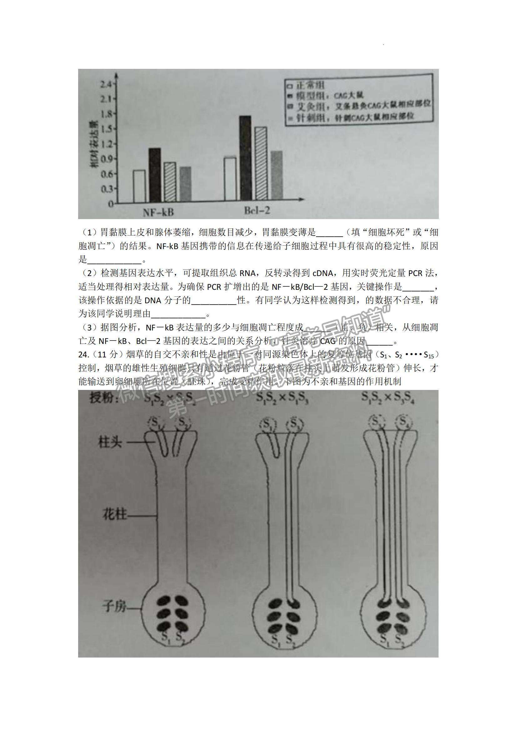 2023山東省濰坊市高三上學(xué)期10月份過程性檢測生物試題及答案