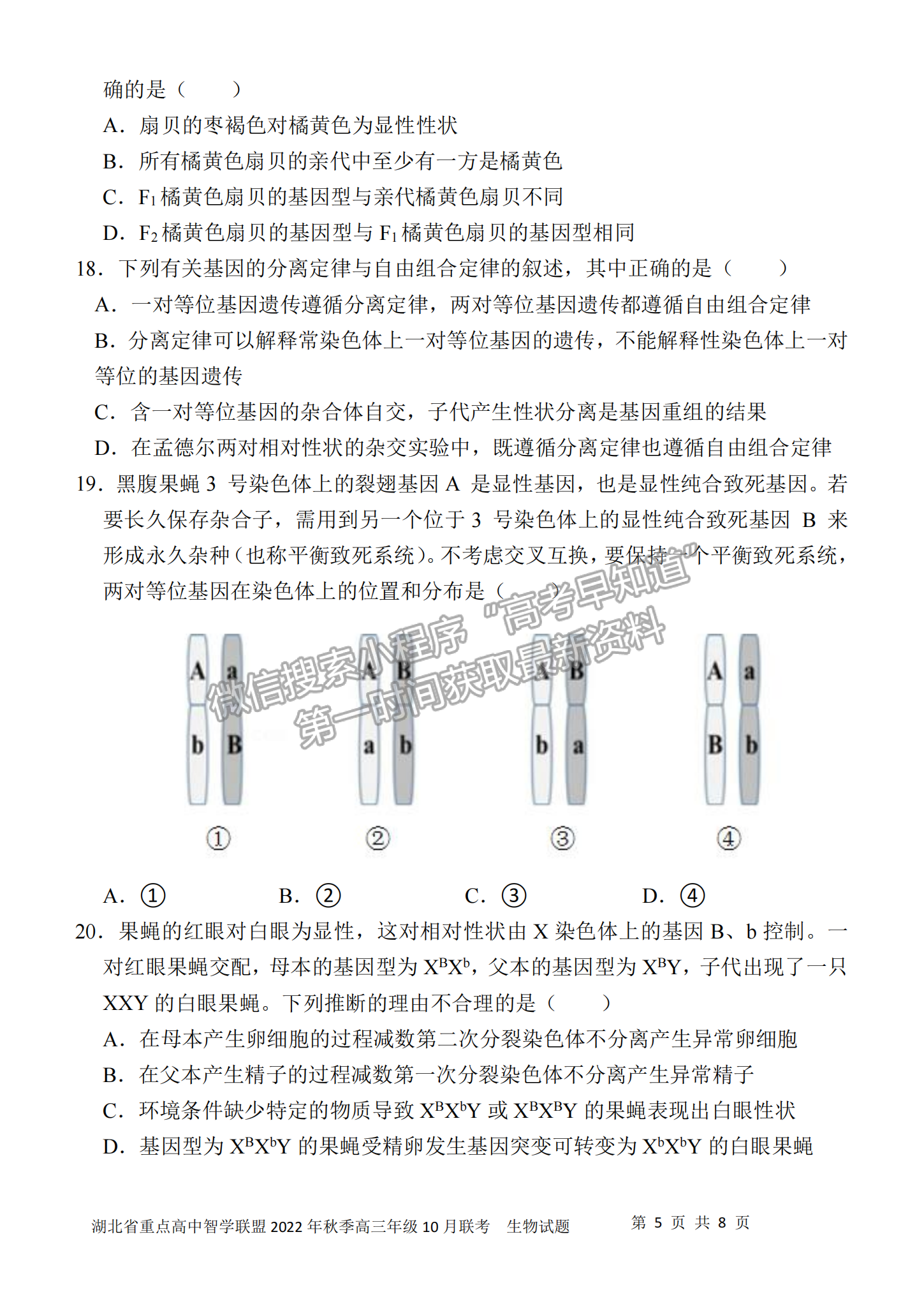 2023屆湖北重點(diǎn)中學(xué)智學(xué)聯(lián)盟高三10月聯(lián)考生物試卷及參考答案