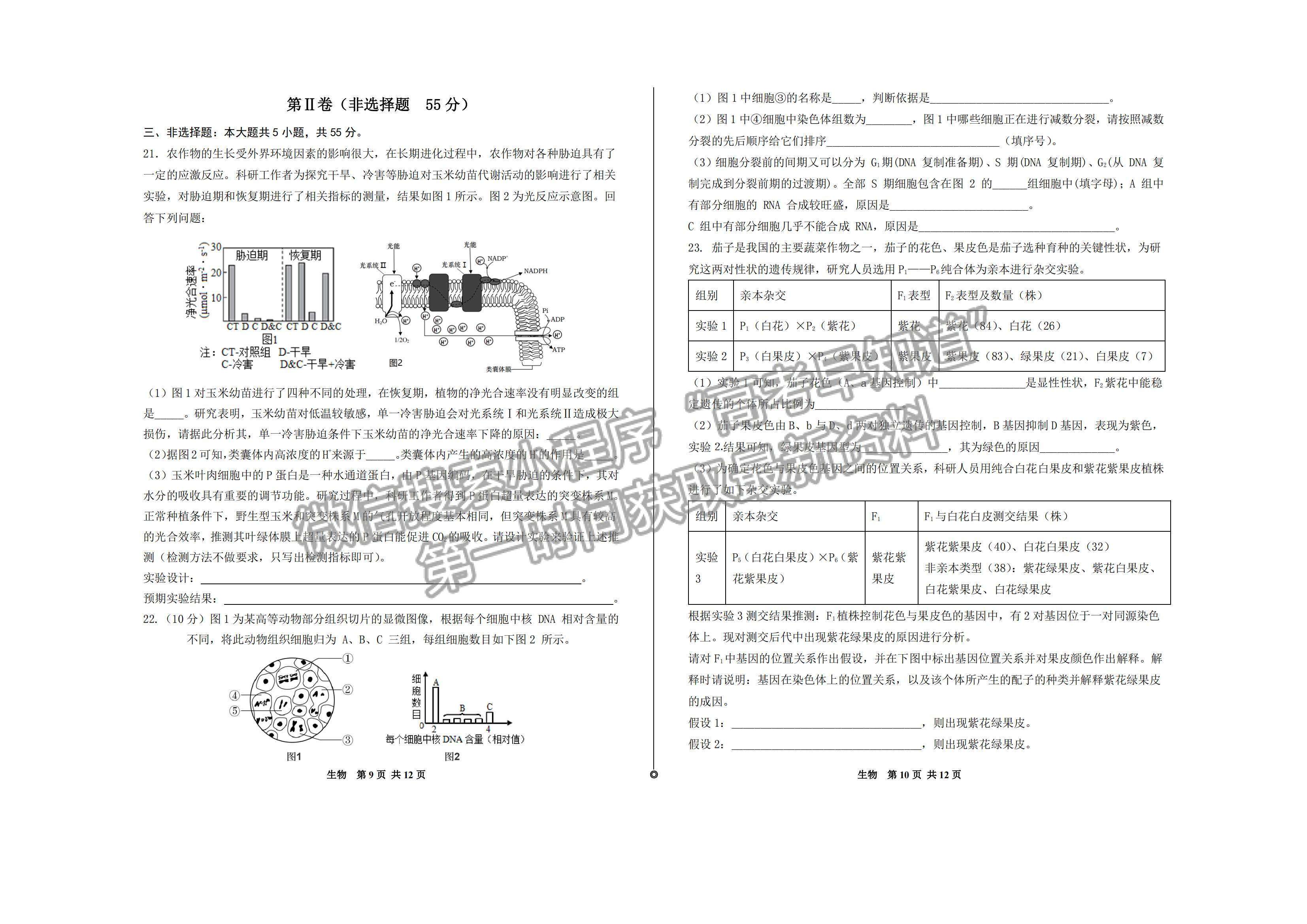 2023山東歷城第二中學(xué)高三10月月考聯(lián)合考試生物試卷及答案