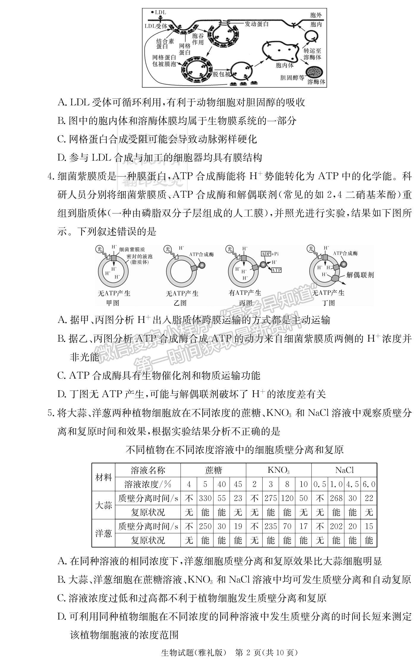 2023湖南雅禮中學(xué)高三月考（二）生物試題及參考答案