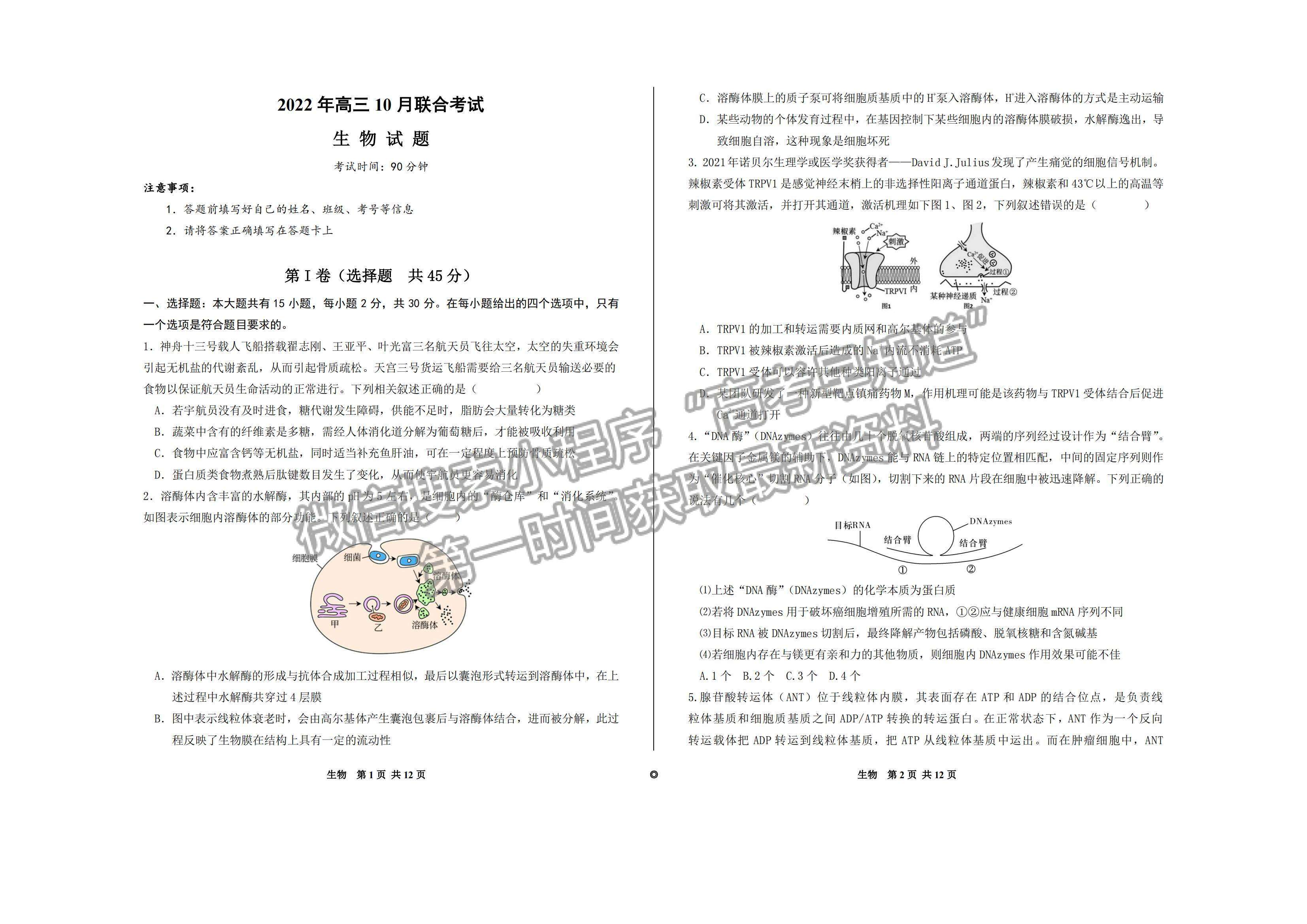 2023山東歷城第二中學高三10月月考聯(lián)合考試生物試卷及答案