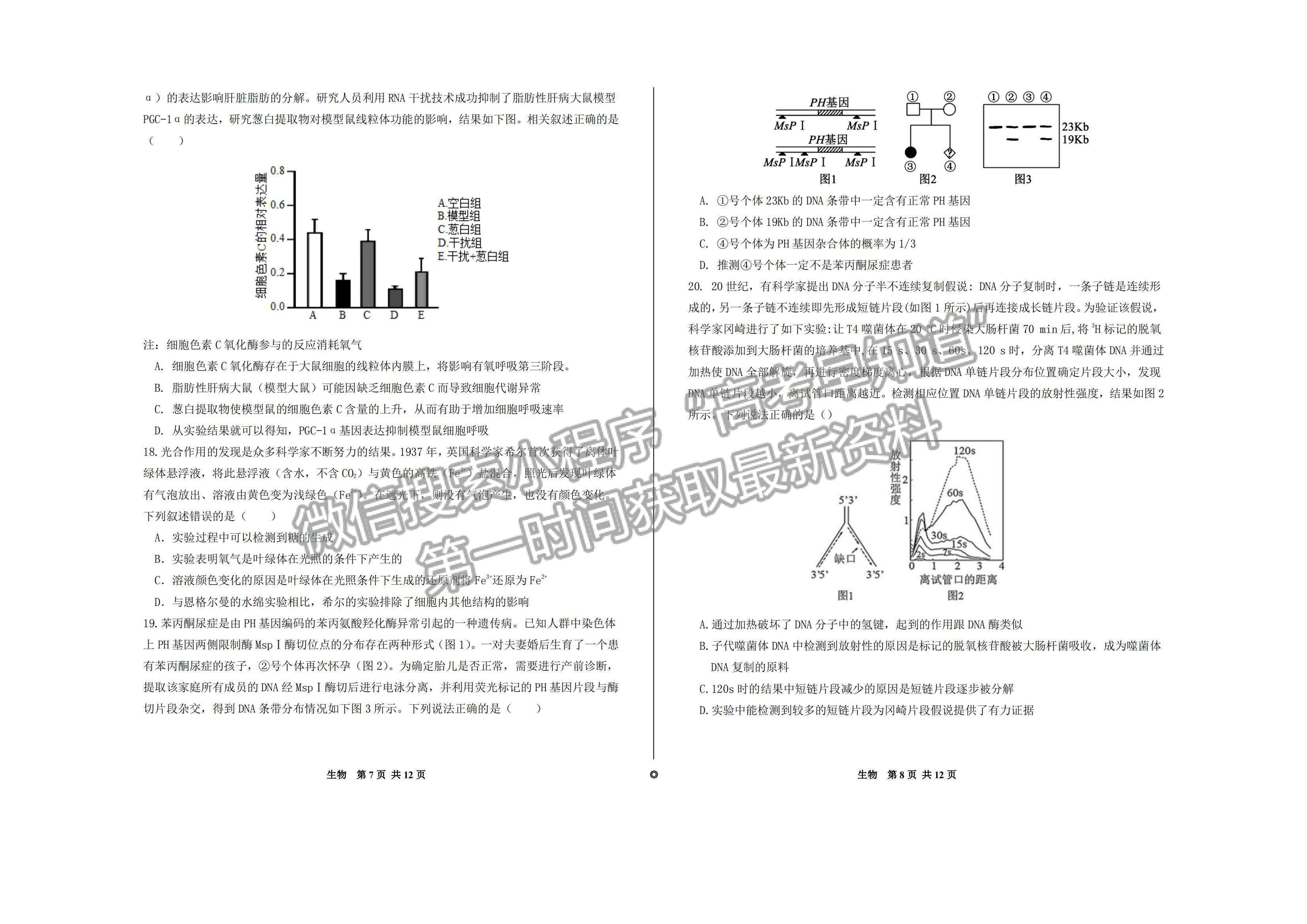 2023山東歷城第二中學(xué)高三10月月考聯(lián)合考試生物試卷及答案