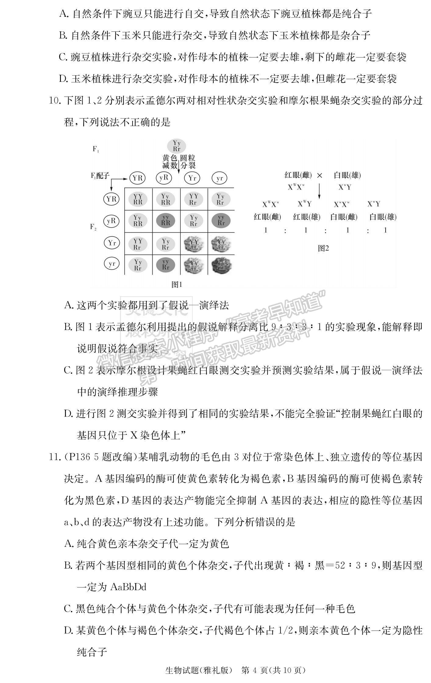 2023湖南雅禮中學(xué)高三月考（二）生物試題及參考答案